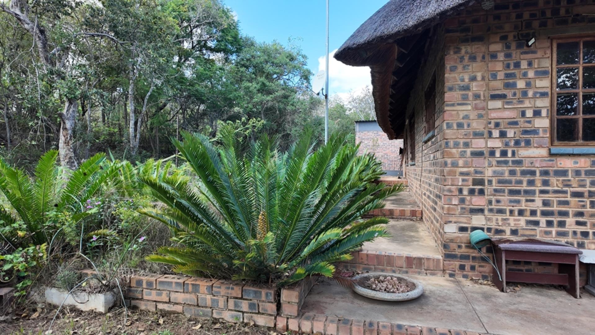 764009_143ha_Farm_for_Sale_Naboomspruit_(21).jpeg