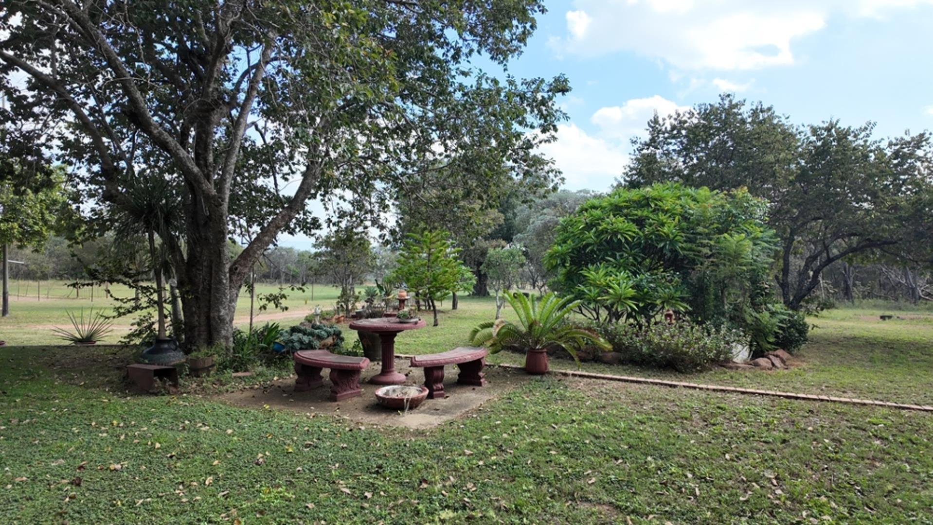 764009_143ha_Farm_for_Sale_Naboomspruit_(22).jpeg