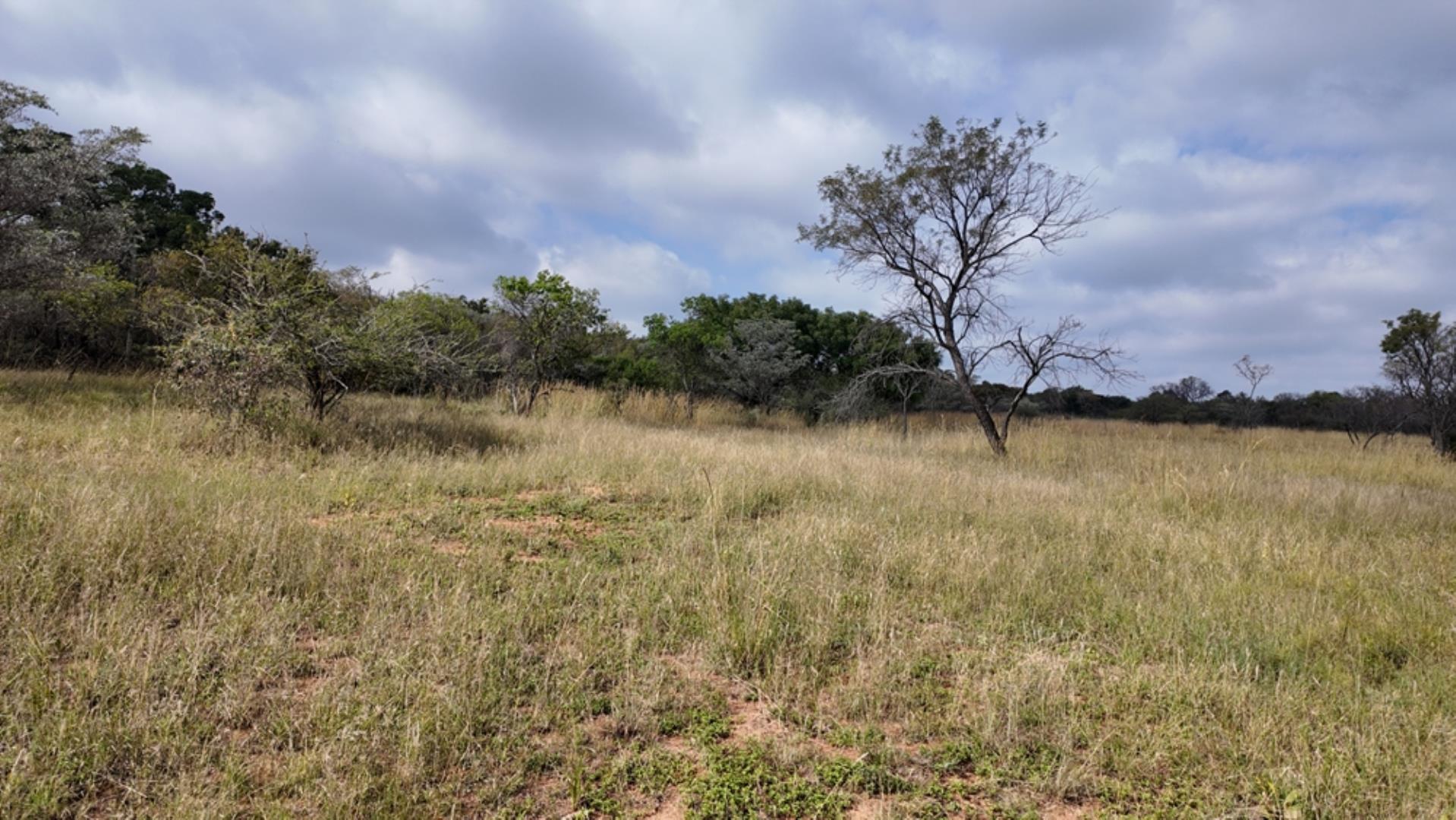 764009_143ha_Farm_for_Sale_Naboomspruit_(3).jpeg