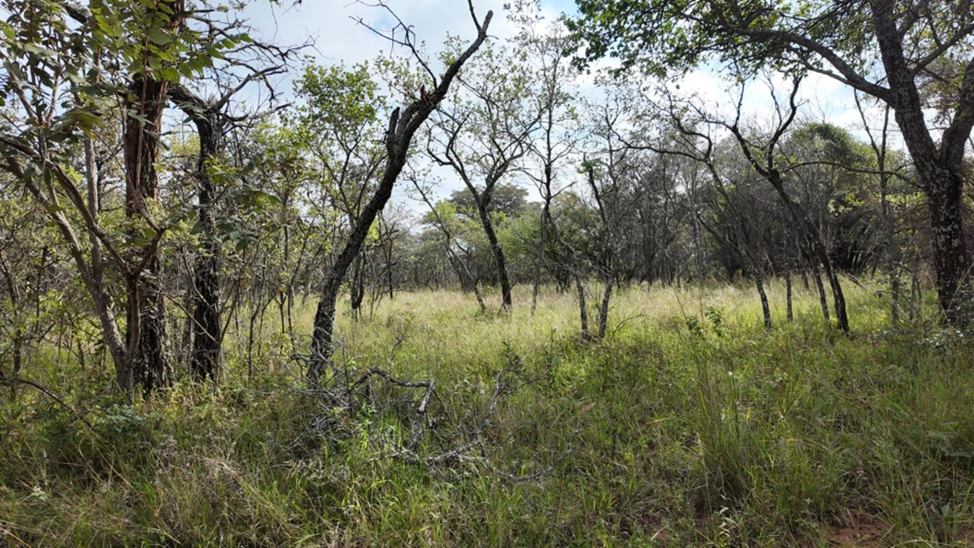 764009_143ha_Farm_for_Sale_Naboomspruit_(5).jpeg