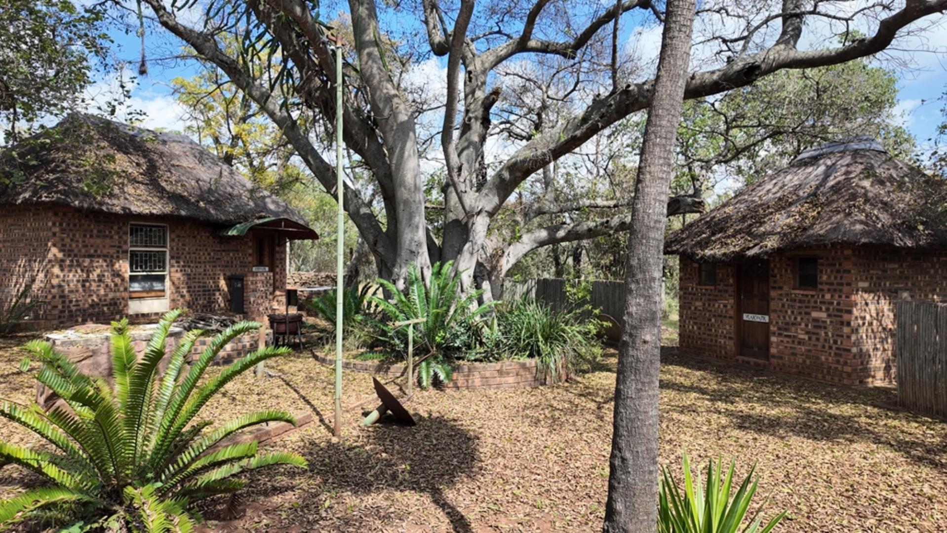 764009_143ha_Farm_for_Sale_Naboomspruit_(59).jpeg