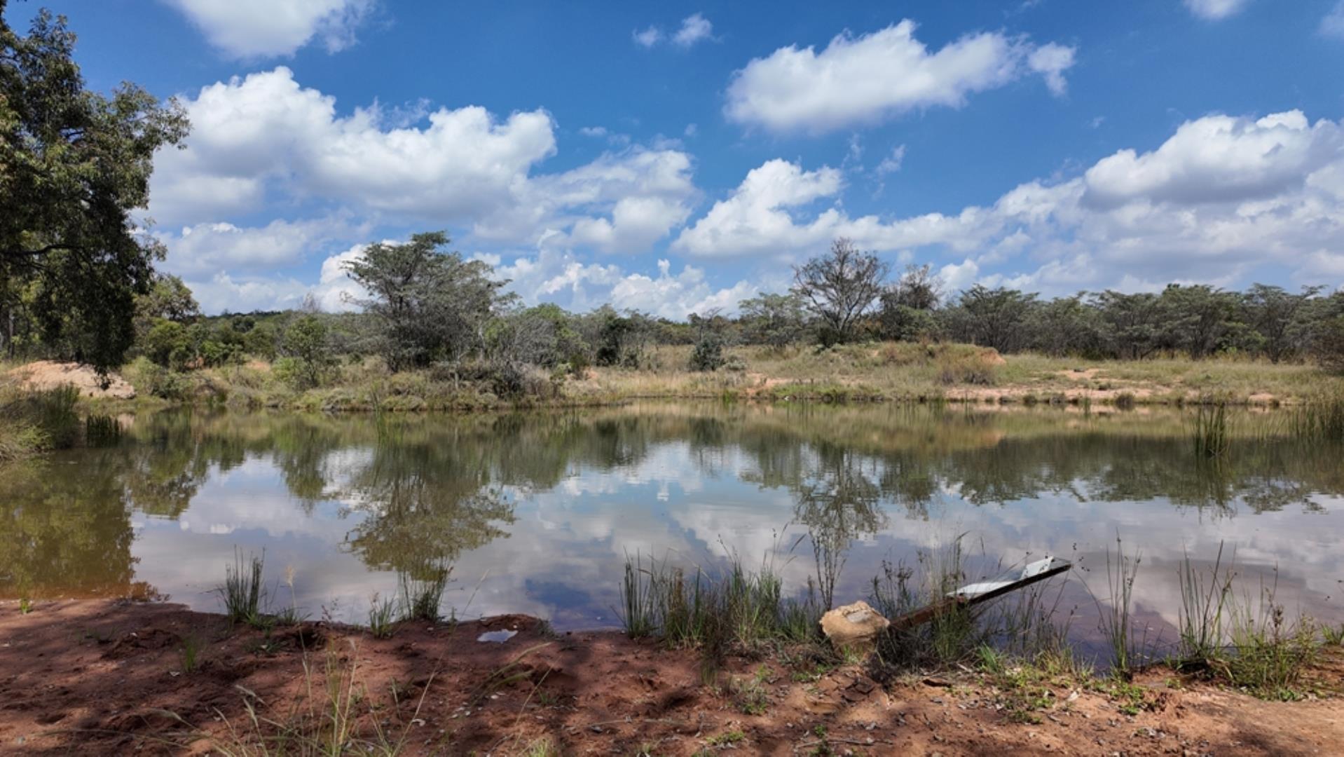 764009_143ha_Farm_for_Sale_Naboomspruit_(61).jpeg