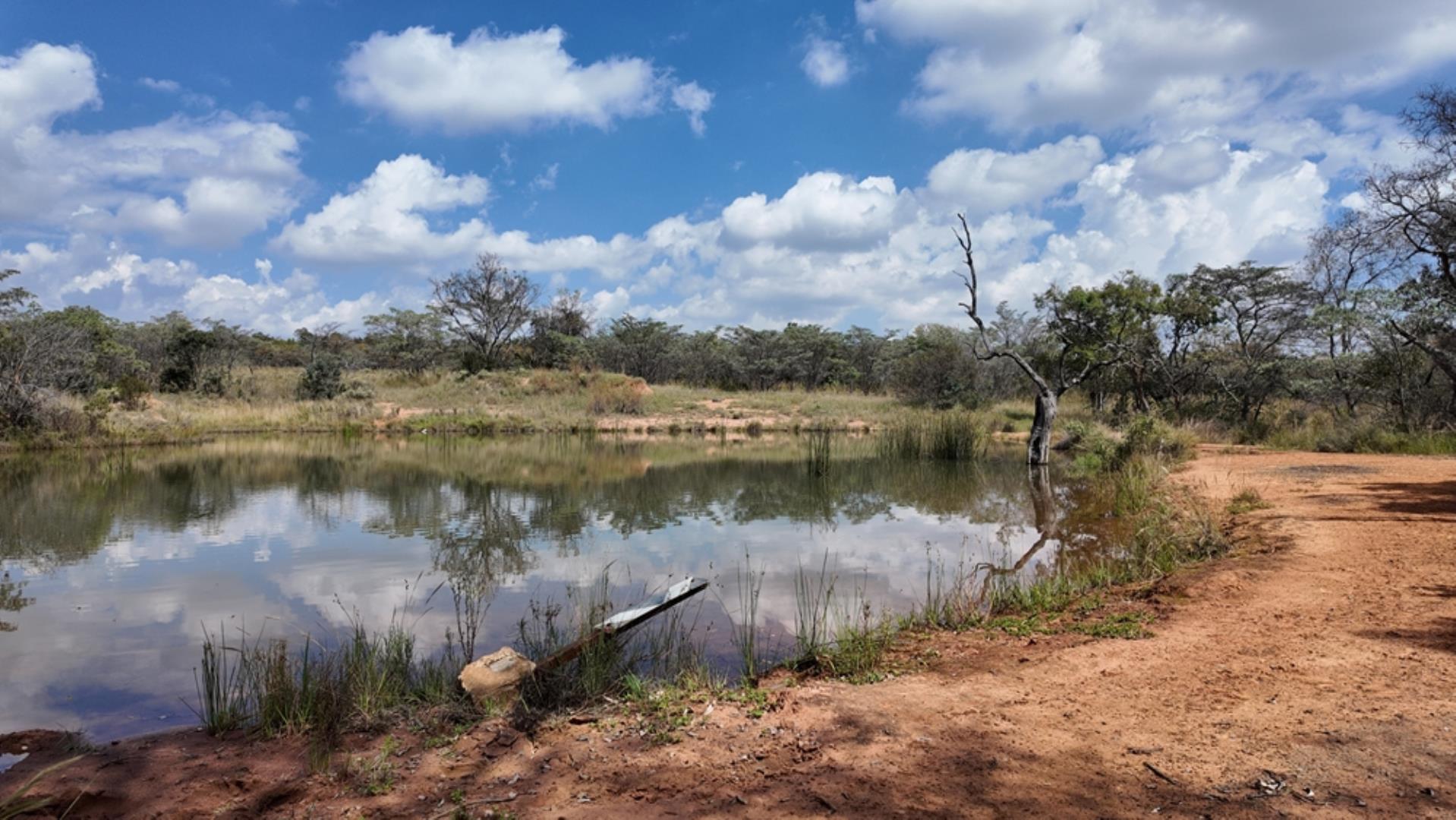 764009_143ha_Farm_for_Sale_Naboomspruit_(62).jpeg
