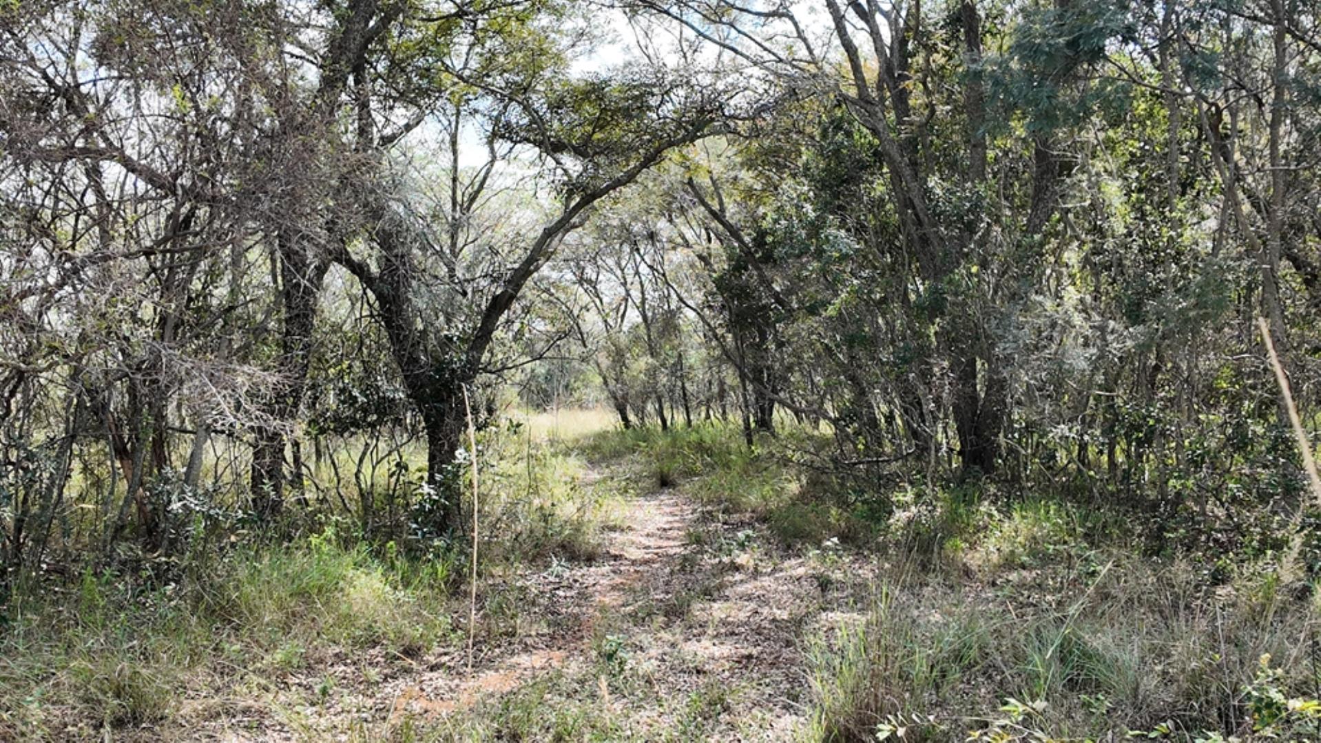 764009_143ha_Farm_for_Sale_Naboomspruit_(63).jpeg
