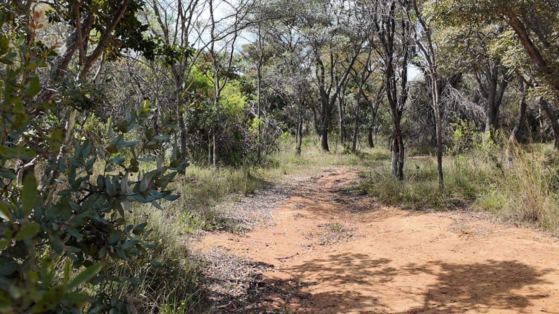 764009_143ha_Farm_for_Sale_Naboomspruit_(65).jpeg