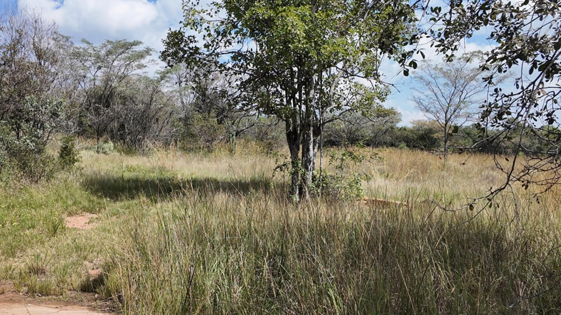 764009_143ha_Farm_for_Sale_Naboomspruit_(66).jpeg