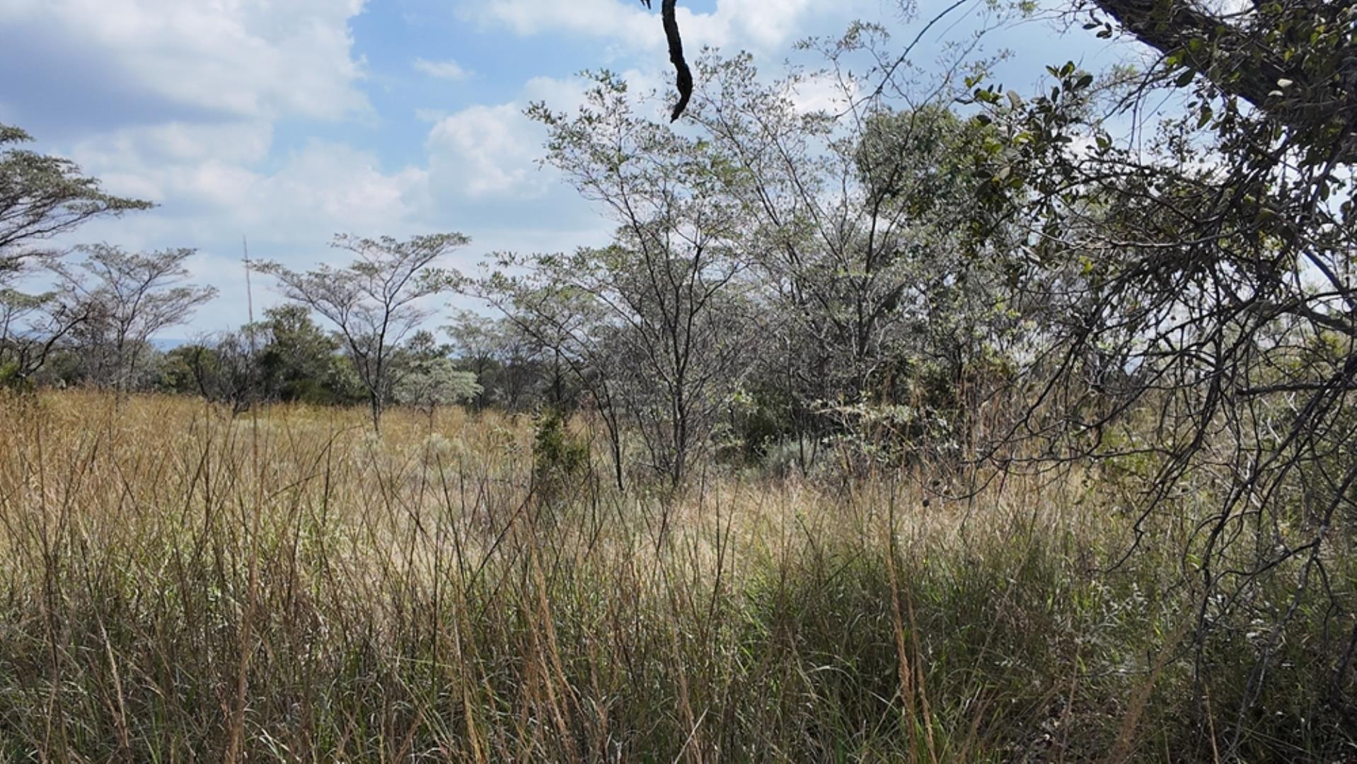764009_143ha_Farm_for_Sale_Naboomspruit_(67).jpeg