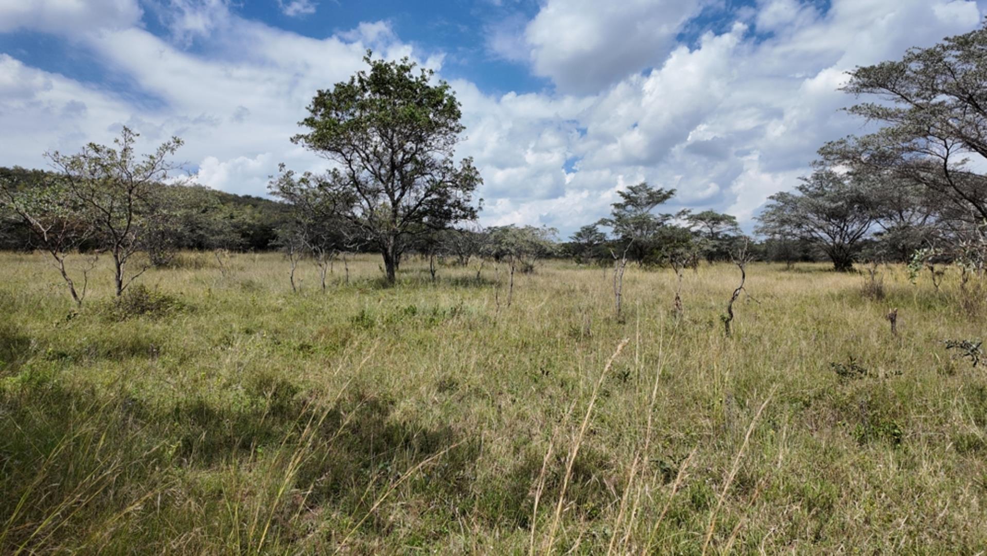 764009_143ha_Farm_for_Sale_Naboomspruit_(71).jpeg