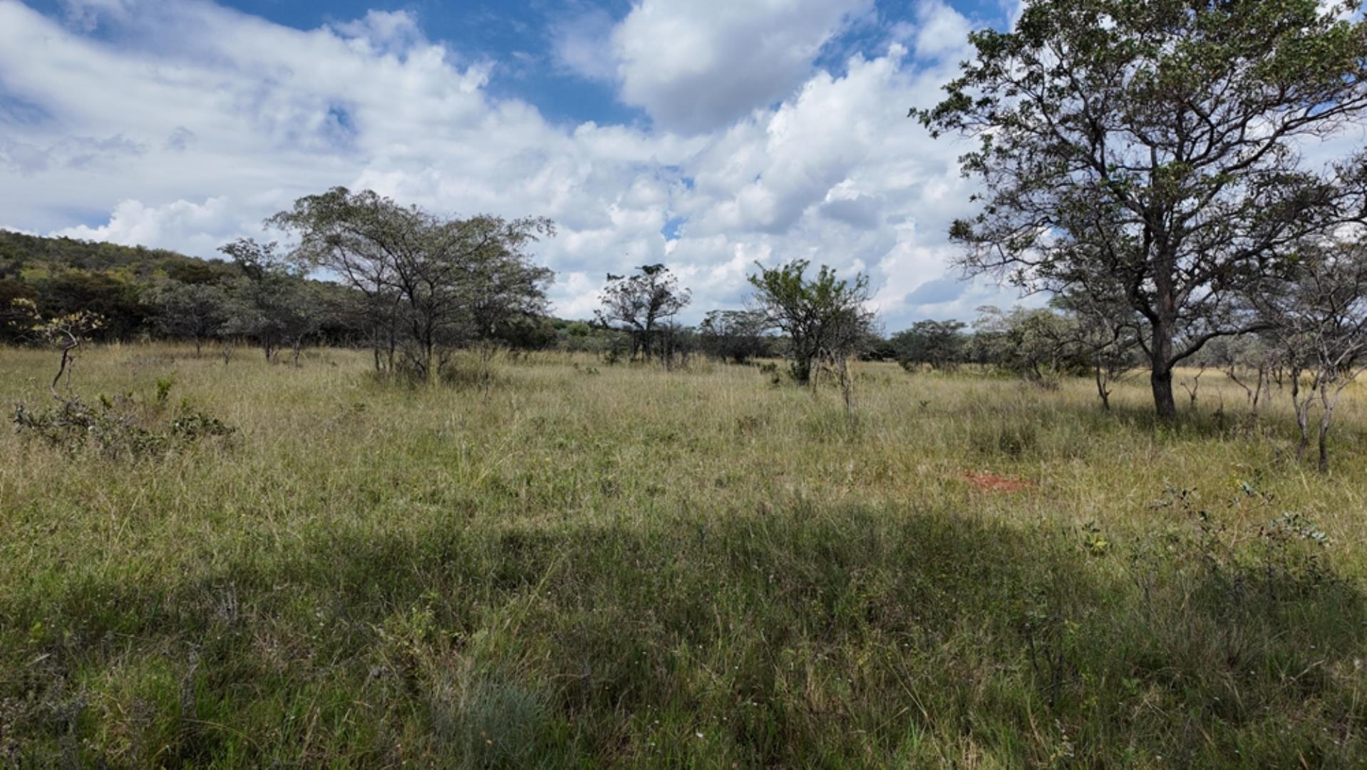 764009_143ha_Farm_for_Sale_Naboomspruit_(72).jpeg