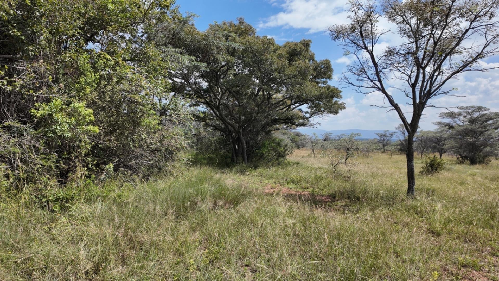 764009_143ha_Farm_for_Sale_Naboomspruit_(74).jpeg