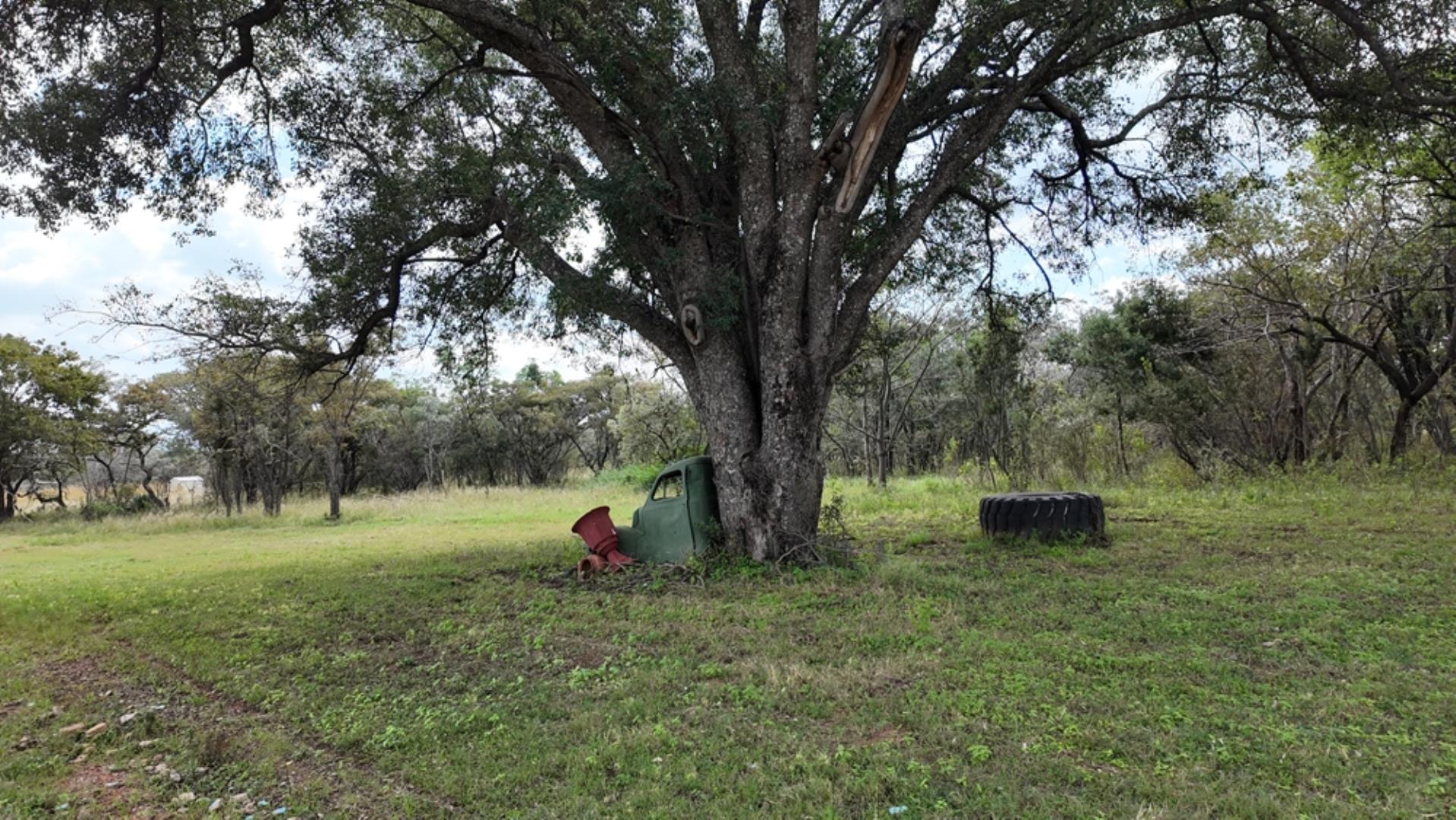 764009_143ha_Farm_for_Sale_Naboomspruit_(75).jpeg