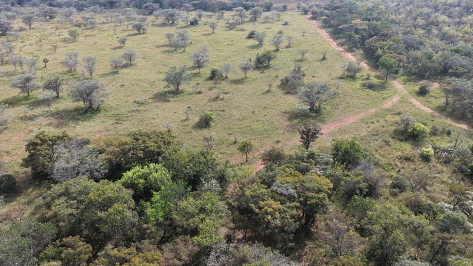 764009_143ha_Farm_for_Sale_Naboomspruit_(89).jpeg
