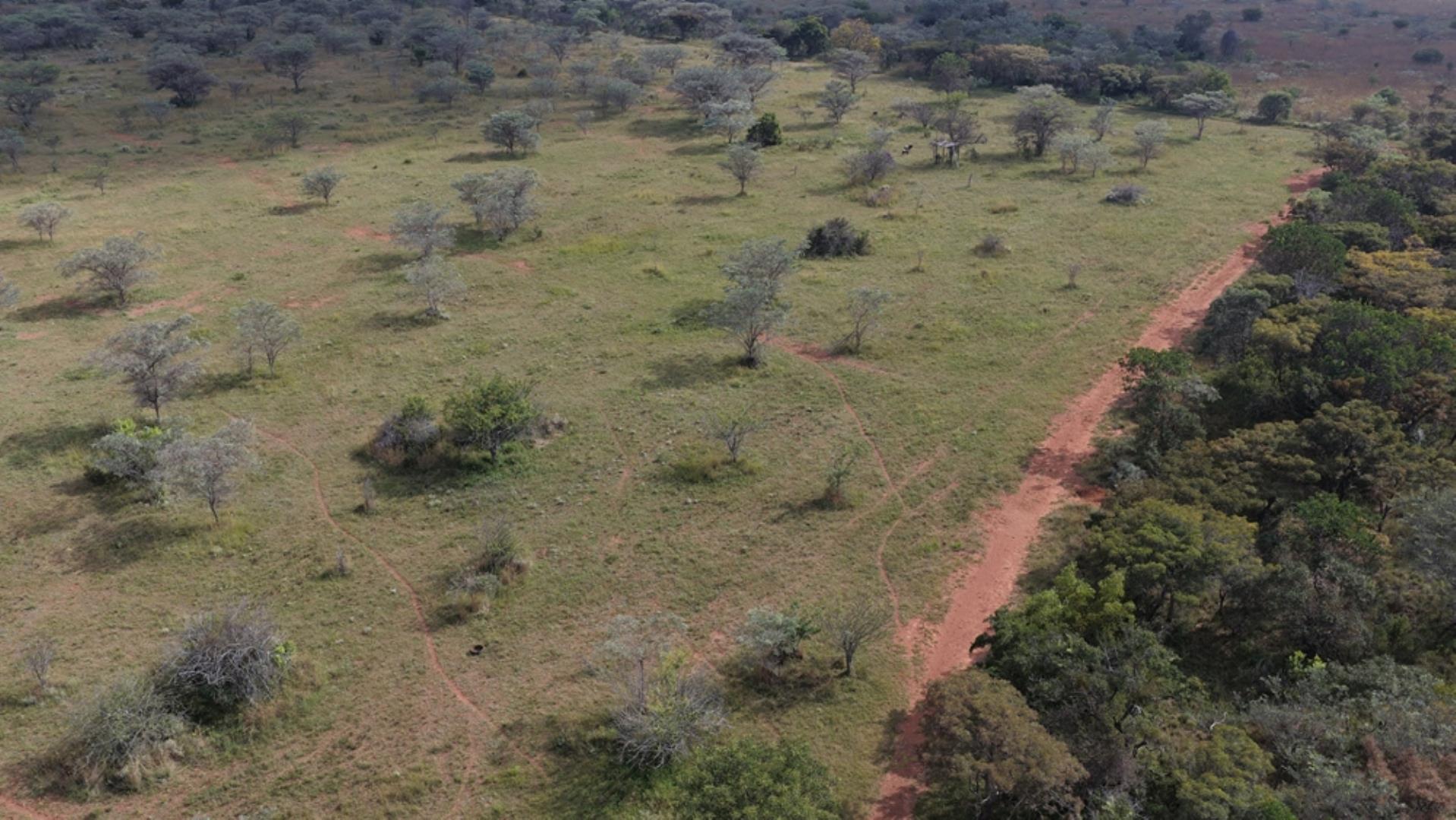 764009_143ha_Farm_for_Sale_Naboomspruit_(91).jpeg