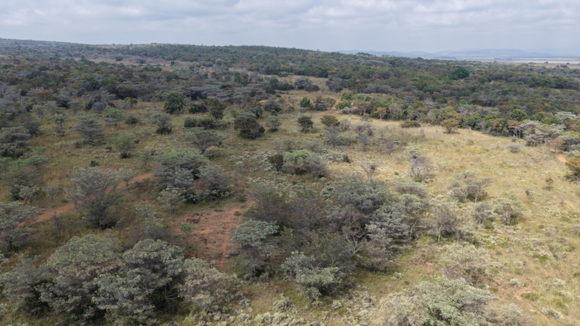 764009_143ha_Farm_for_Sale_Naboomspruit_(92).jpeg