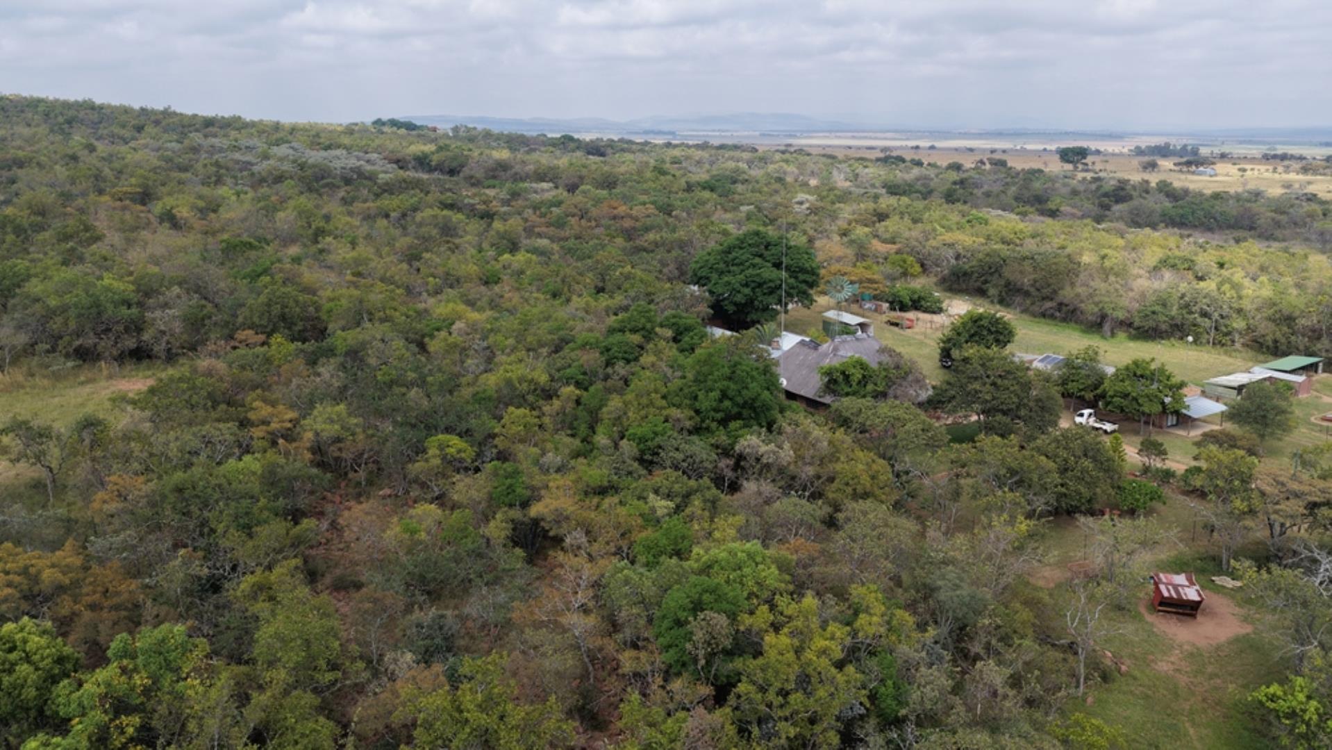764009_143ha_Farm_for_Sale_Naboomspruit_(95).jpeg