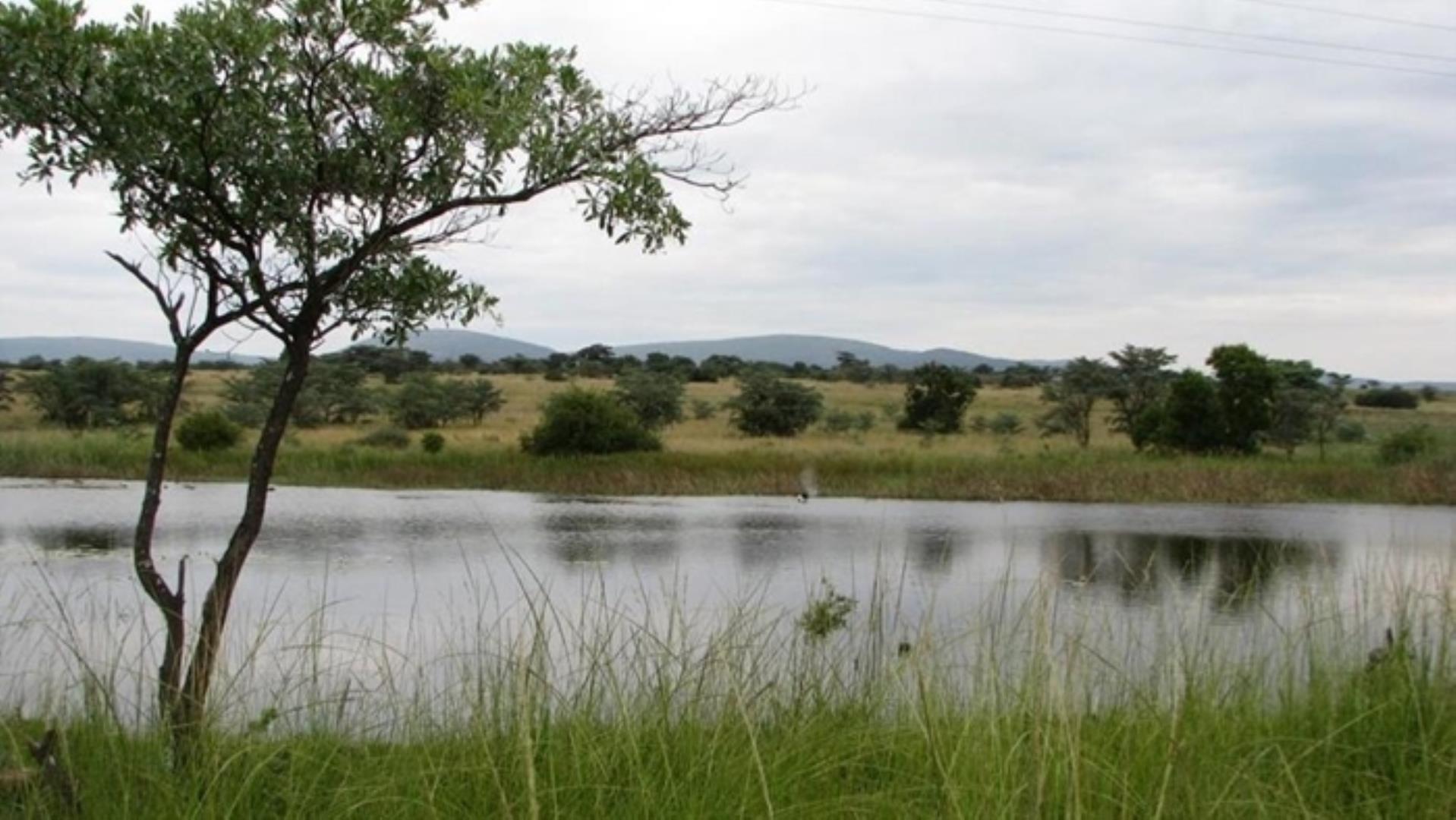 765189_2.jpg