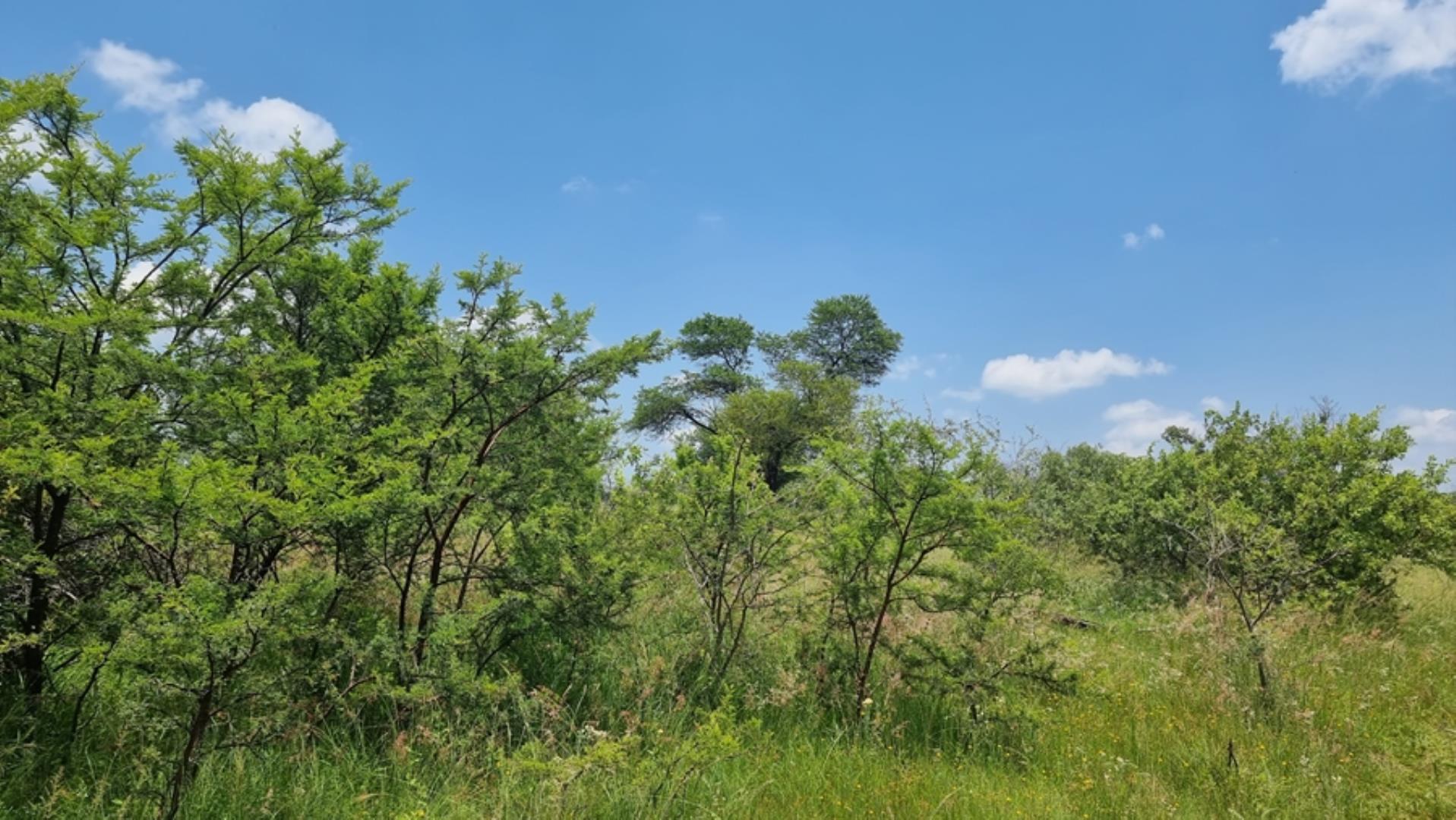 765285_566ha_Farm_for_Sale_Vaalwater_(166).jpg