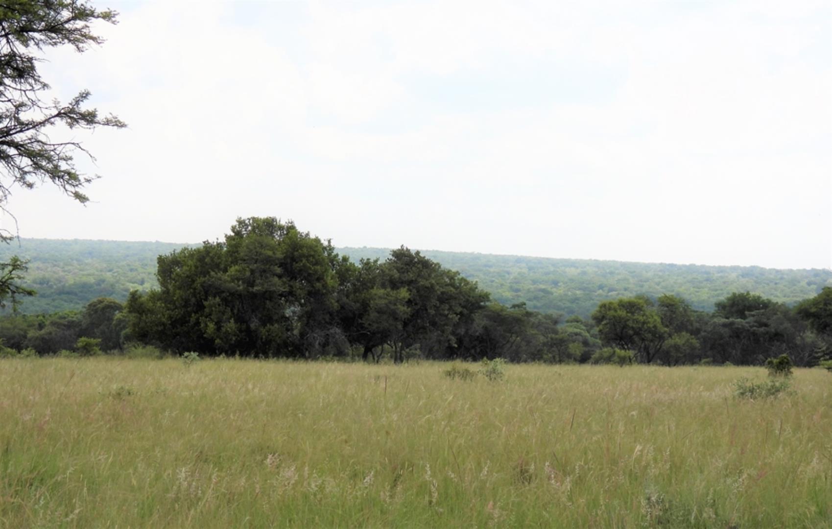 765285_566ha_Farm_for_Sale_Vaalwater_(215).jpg