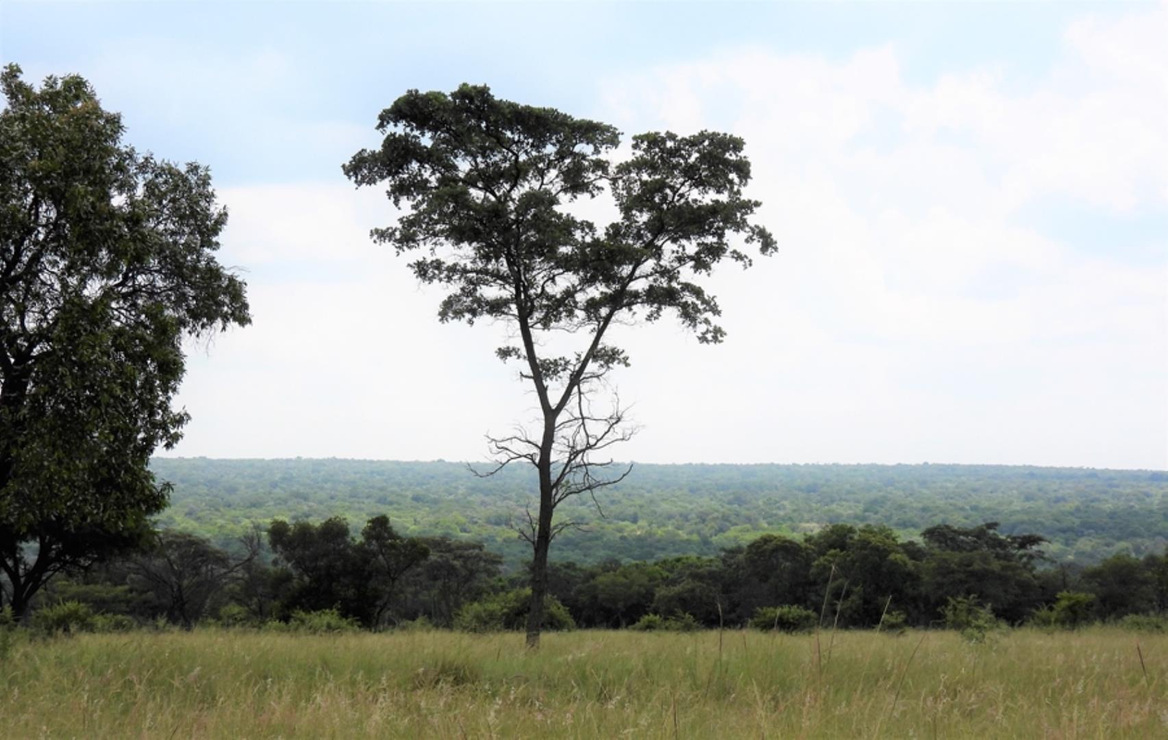765285_566ha_Farm_for_Sale_Vaalwater_(216).jpg