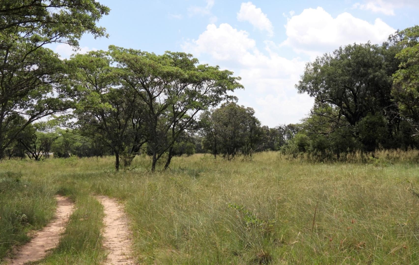 765285_566ha_Farm_for_Sale_Vaalwater_(219).jpg