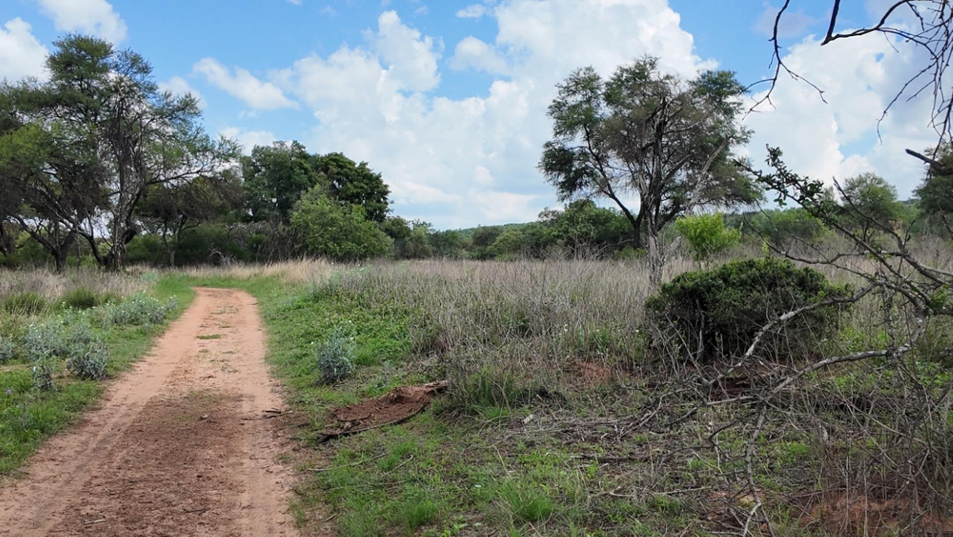 765393_520ha_Modimolle_farm_for_sale_(14).jpeg