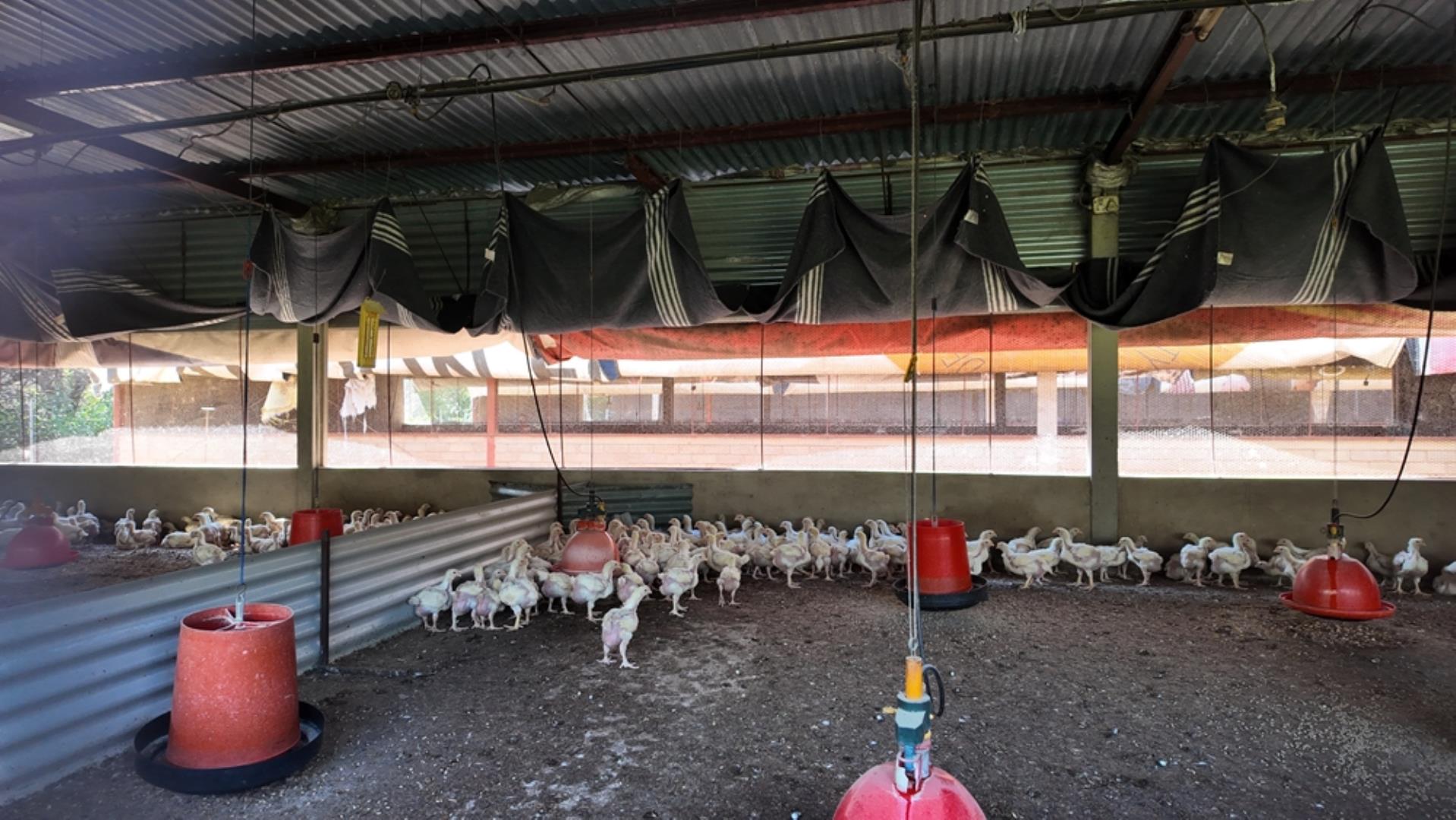 765405_24ha_Chicken_Abbatoir_Farm_For_Sale_Modimolle_(145).jpeg