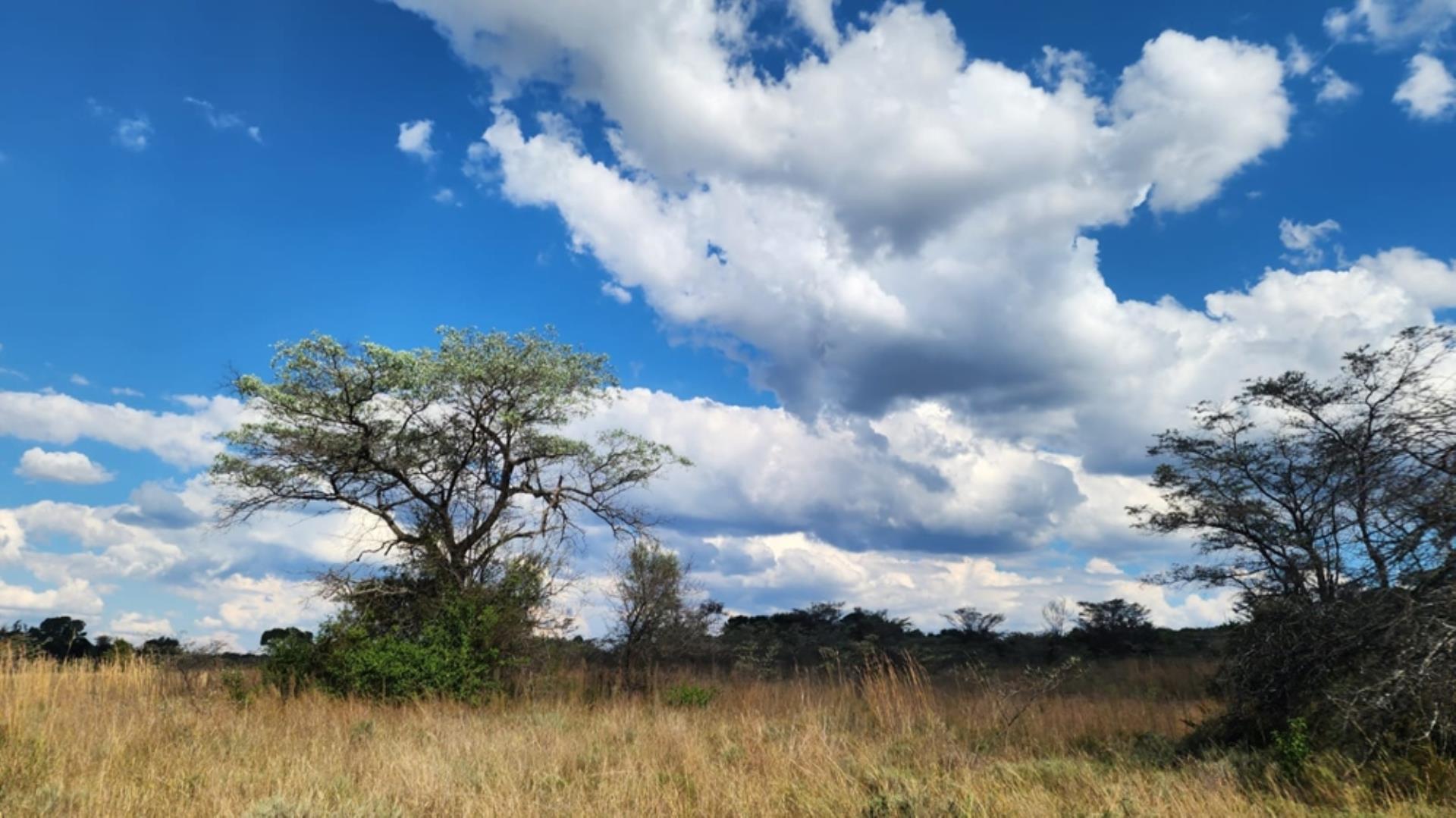 765405_24ha_Chicken_Abbatoir_Farm_For_Sale_Modimolle_(149).jpeg