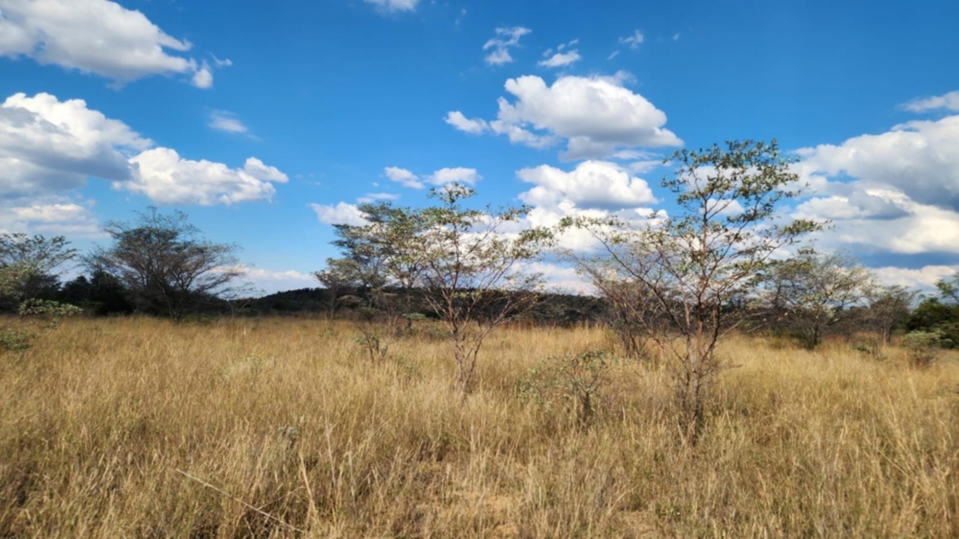 765405_24ha_Chicken_Abbatoir_Farm_For_Sale_Modimolle_(150).jpeg