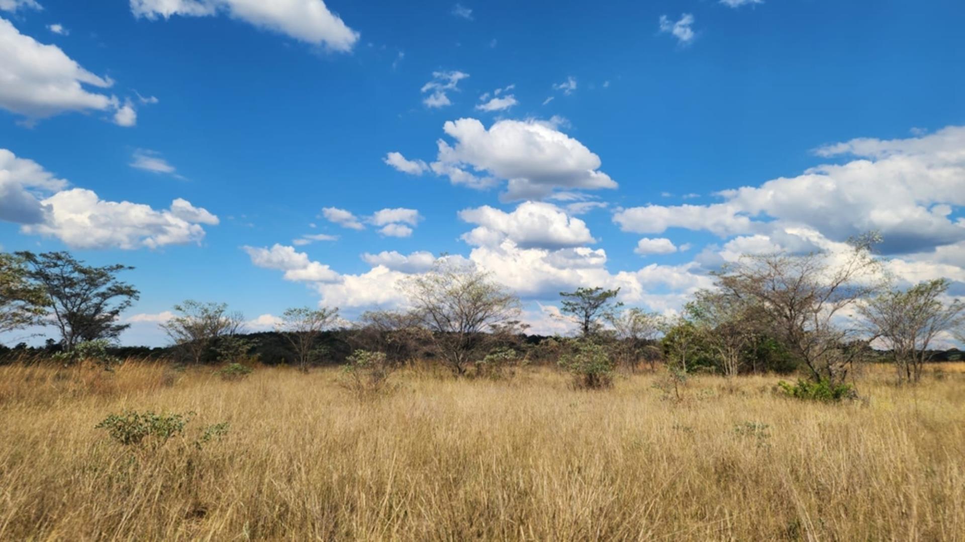 765405_24ha_Chicken_Abbatoir_Farm_For_Sale_Modimolle_(151).jpeg