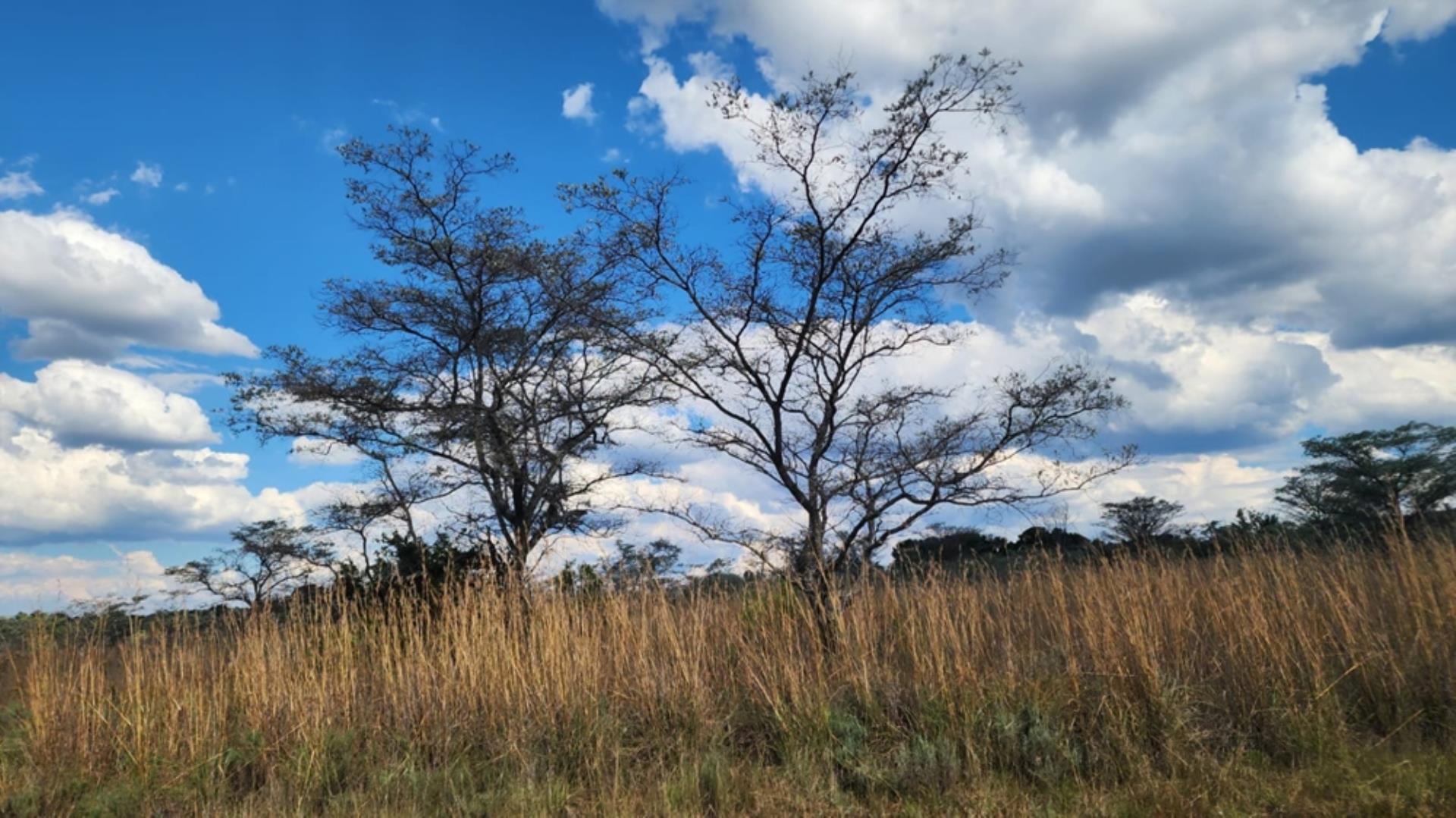 765405_24ha_Chicken_Abbatoir_Farm_For_Sale_Modimolle_(152).jpeg