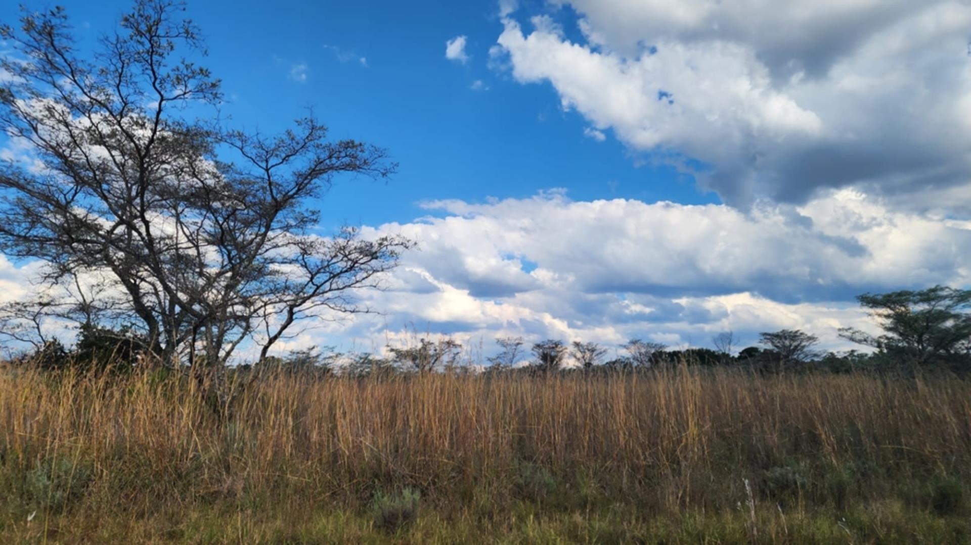 765405_24ha_Chicken_Abbatoir_Farm_For_Sale_Modimolle_(153).jpeg