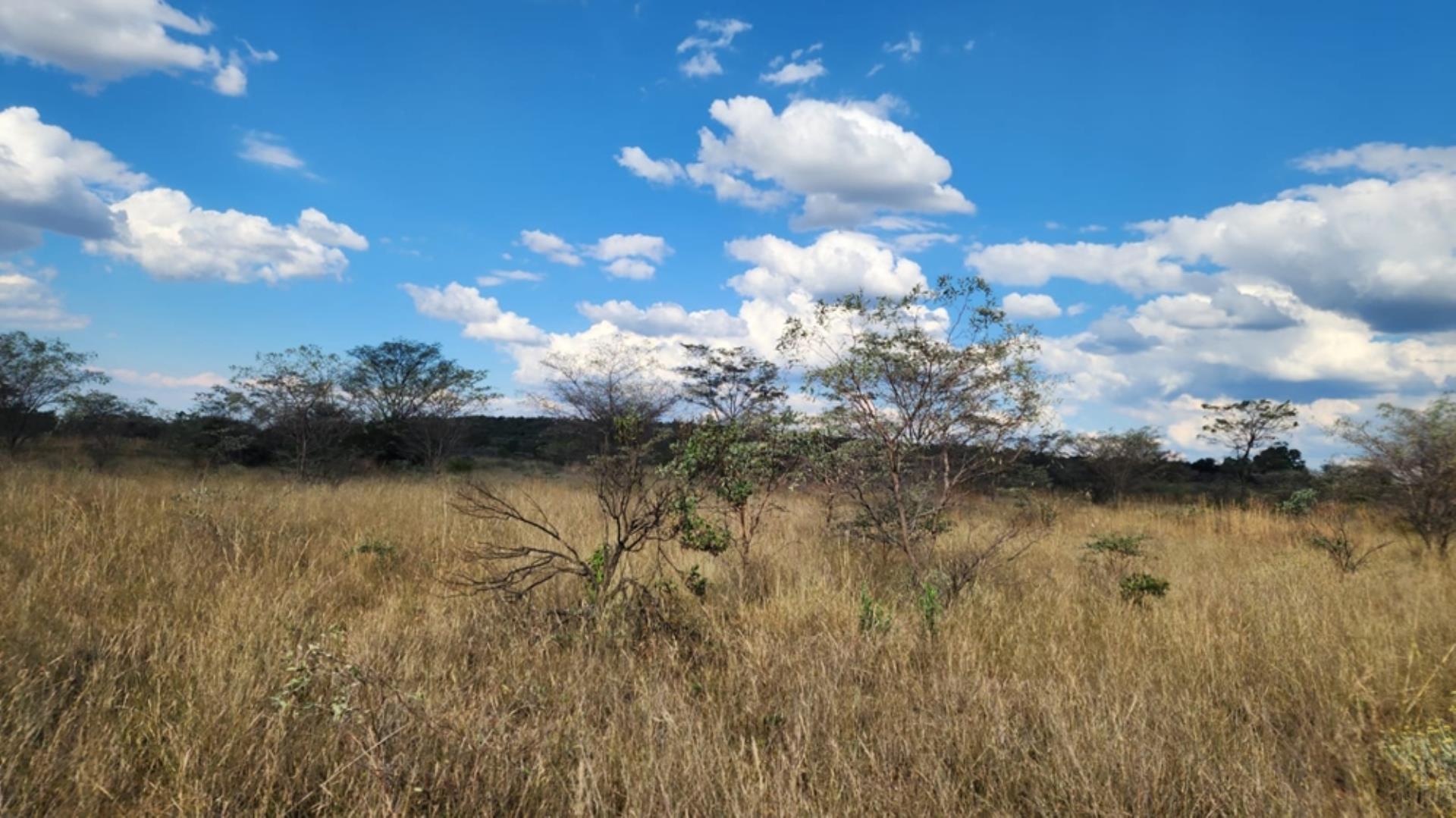 765405_24ha_Chicken_Abbatoir_Farm_For_Sale_Modimolle_(154).jpeg