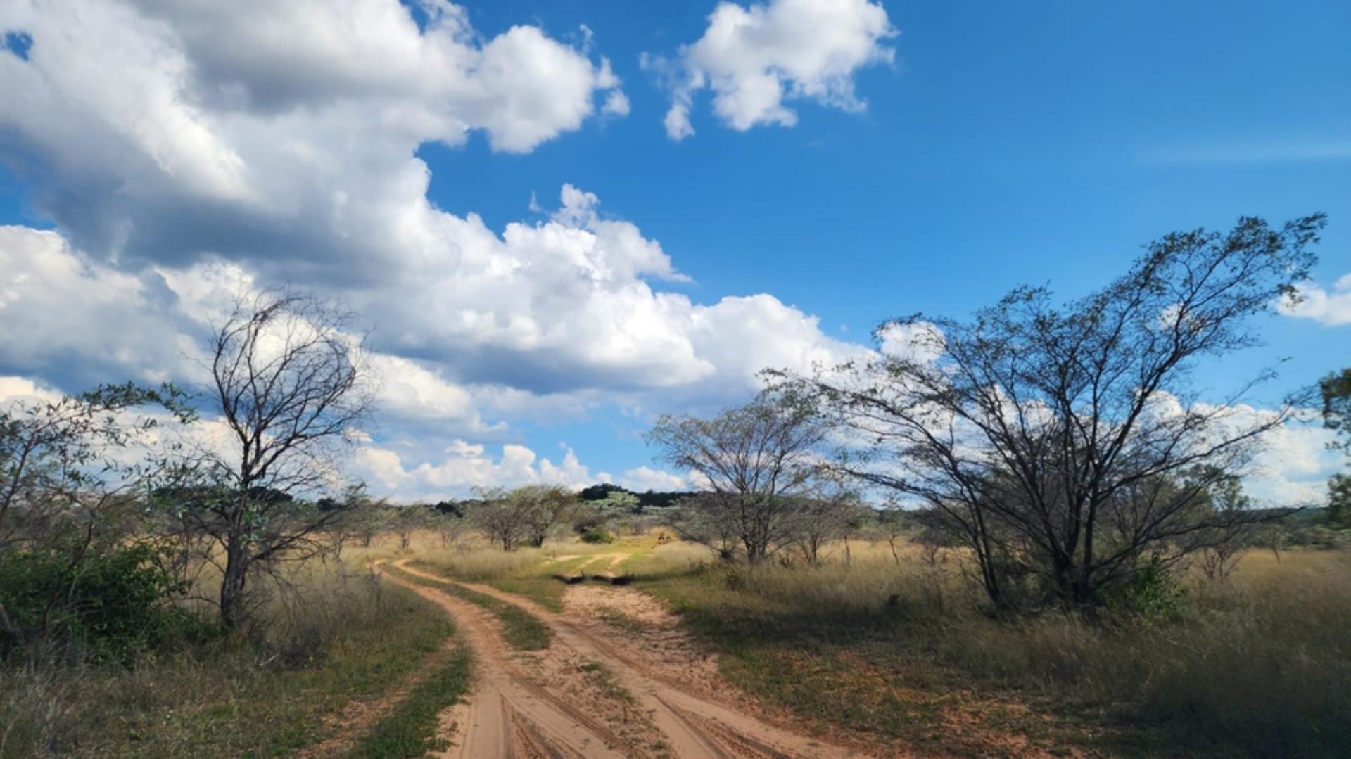 765405_24ha_Chicken_Abbatoir_Farm_For_Sale_Modimolle_(155).jpeg