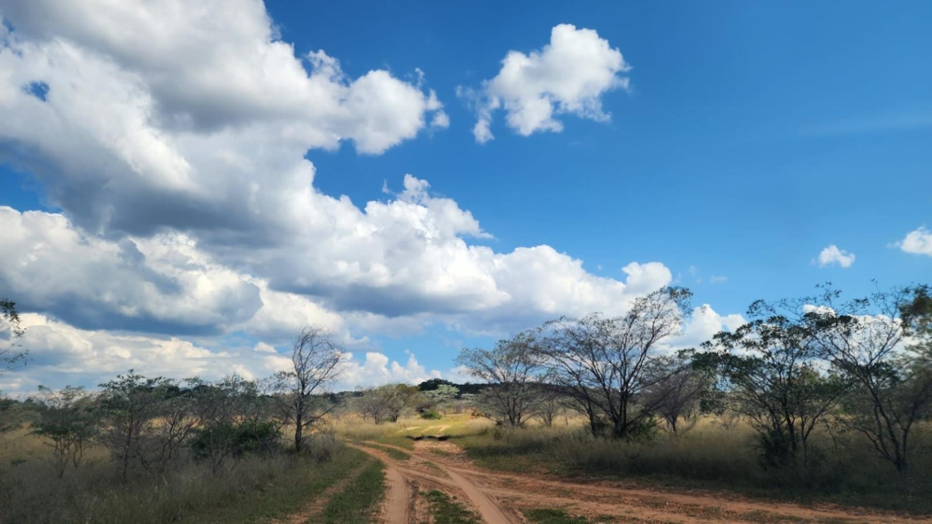 765405_24ha_Chicken_Abbatoir_Farm_For_Sale_Modimolle_(156).jpeg