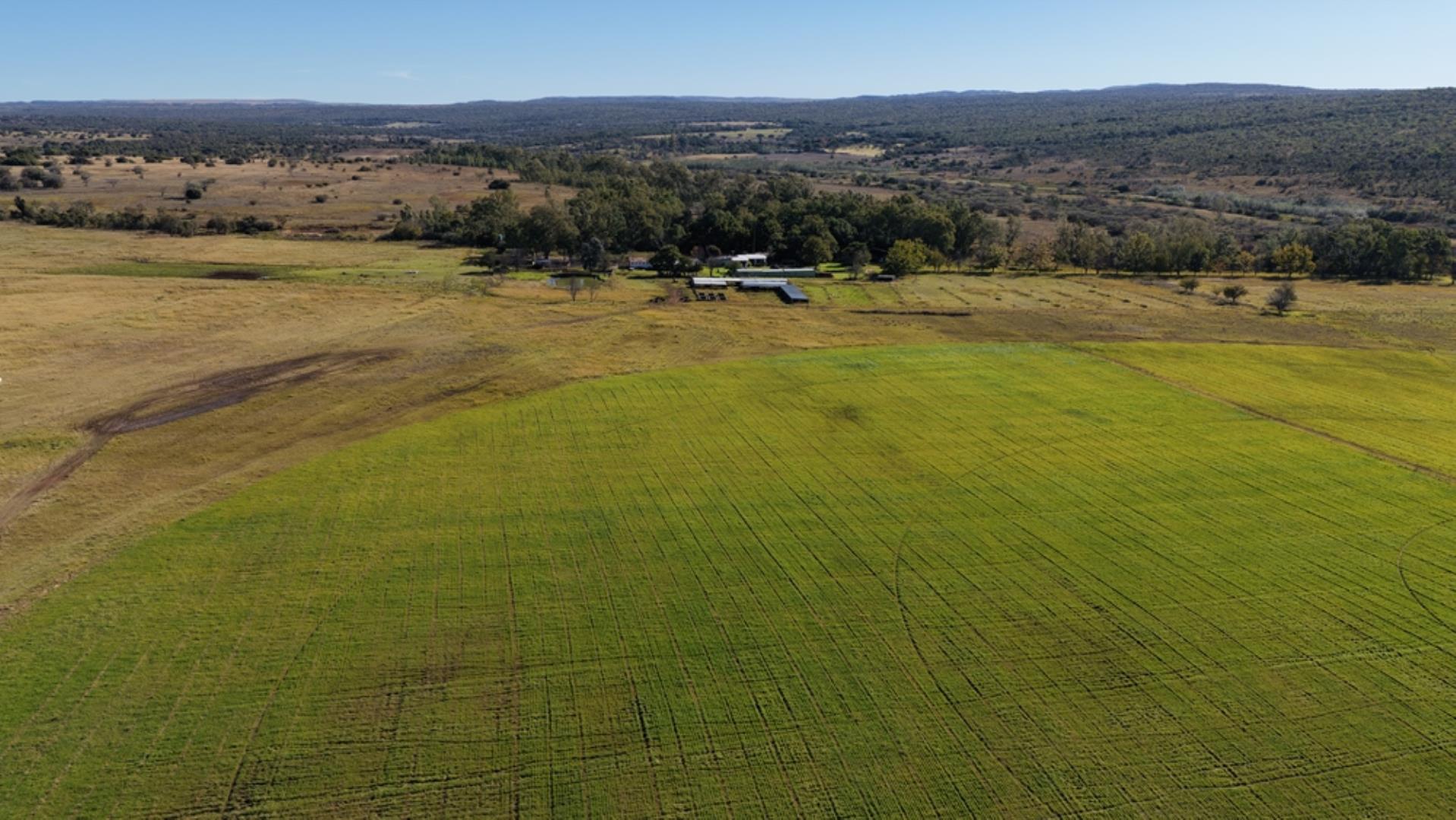 765519_442ha_Cattle_and_Irrigation_Farm_FOR_SALE_Modimolle_(10).jpeg