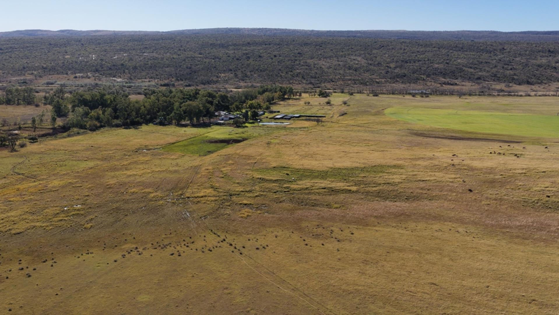 765519_442ha_Cattle_and_Irrigation_Farm_FOR_SALE_Modimolle_(12).jpeg