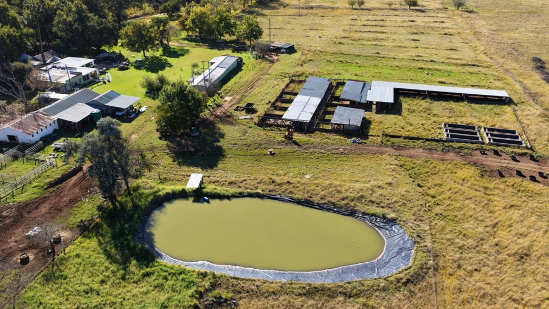 765519_442ha_Cattle_and_Irrigation_Farm_FOR_SALE_Modimolle_(15).jpeg