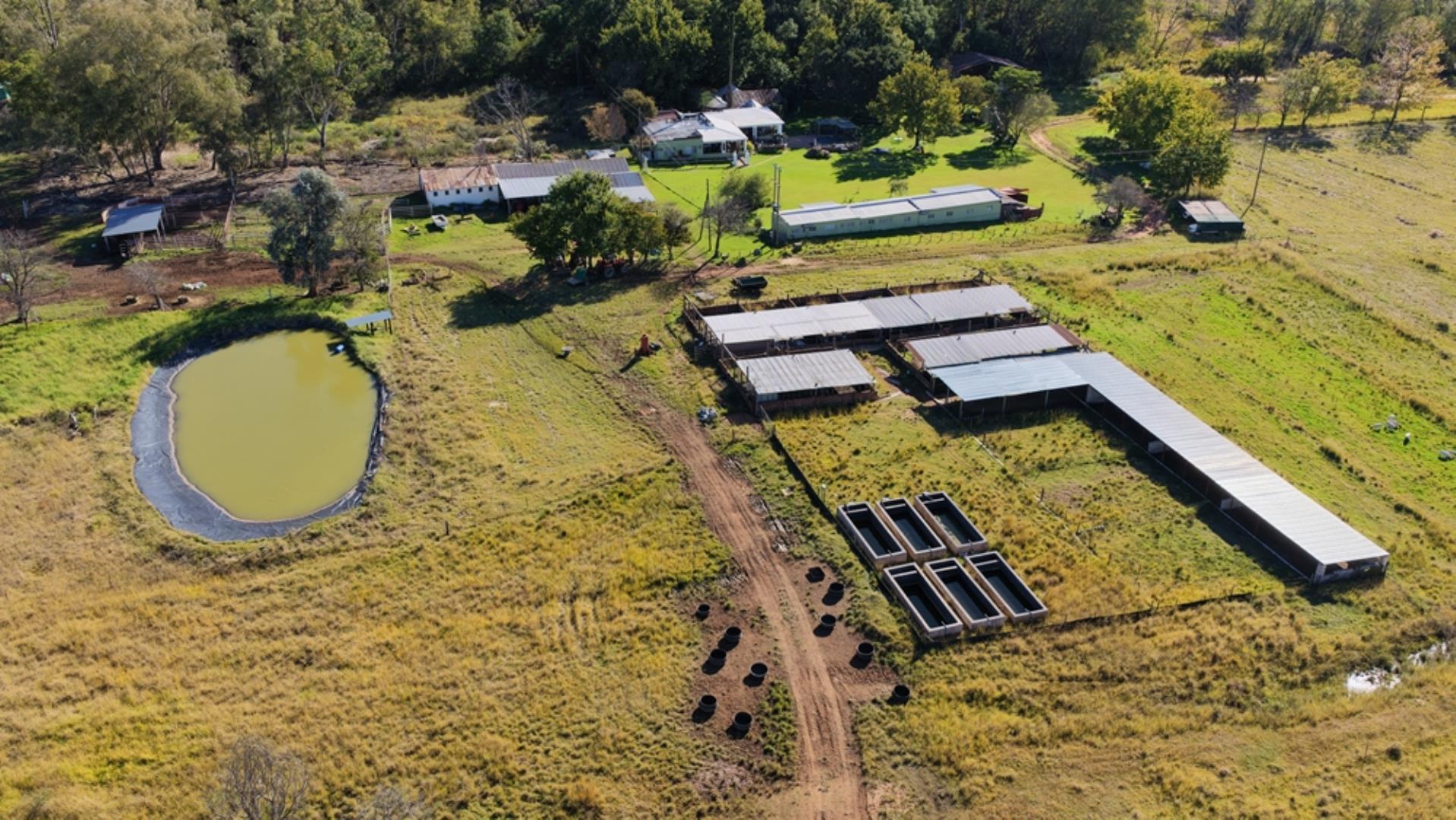 765519_442ha_Cattle_and_Irrigation_Farm_FOR_SALE_Modimolle_(16).jpeg