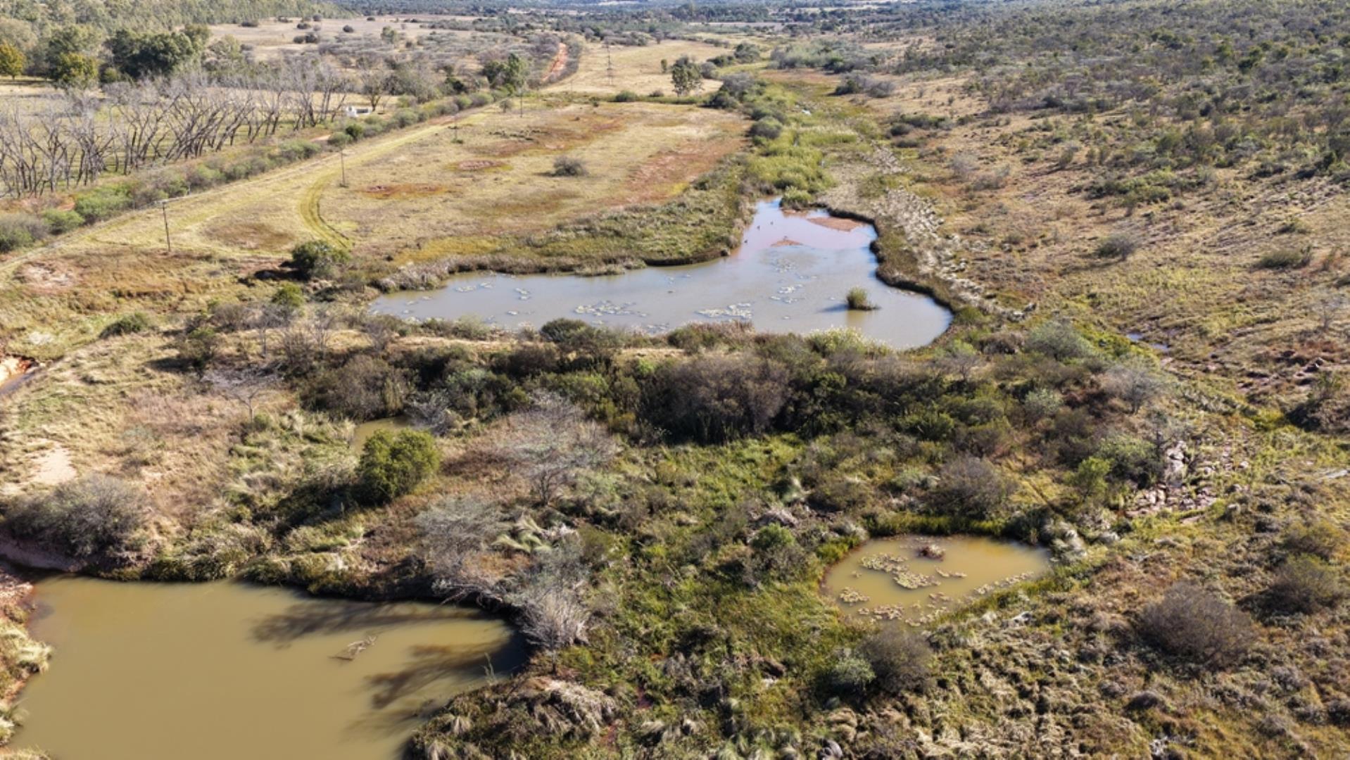 765519_442ha_Cattle_and_Irrigation_Farm_FOR_SALE_Modimolle_(17).jpeg