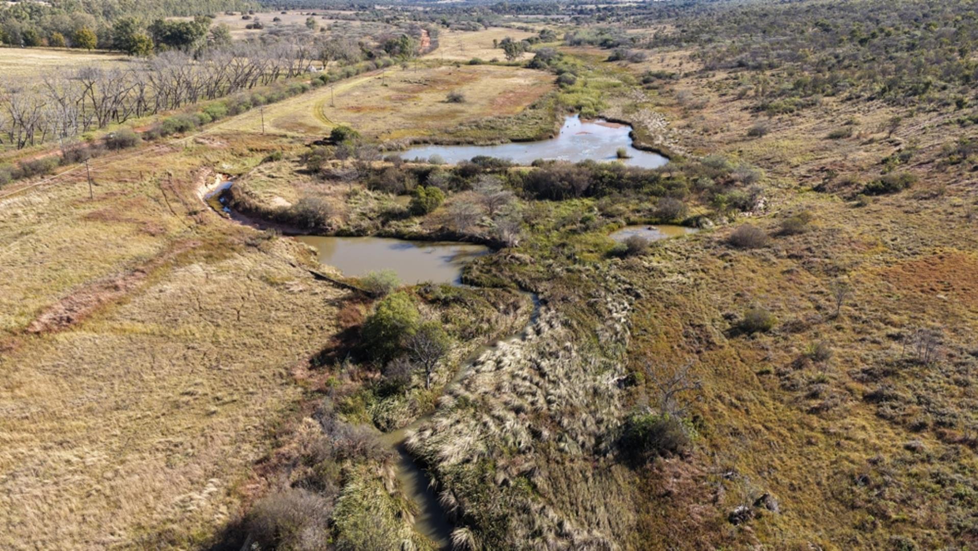 765519_442ha_Cattle_and_Irrigation_Farm_FOR_SALE_Modimolle_(18).jpeg