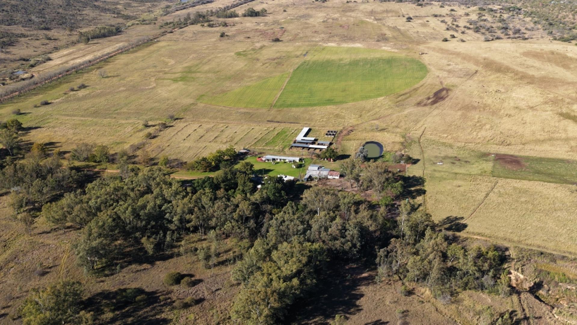 765519_442ha_Cattle_and_Irrigation_Farm_FOR_SALE_Modimolle_(23).jpeg