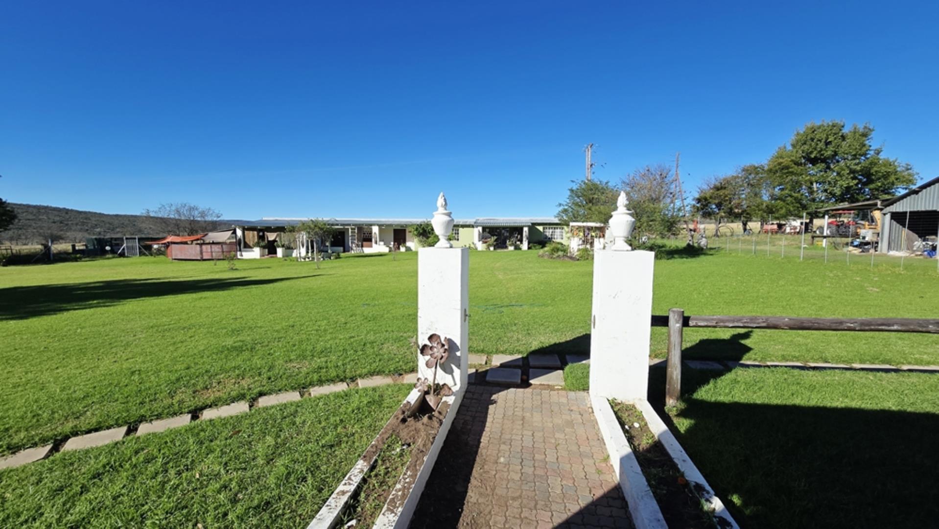 765519_442ha_Cattle_and_Irrigation_Farm_FOR_SALE_Modimolle_(25).jpeg