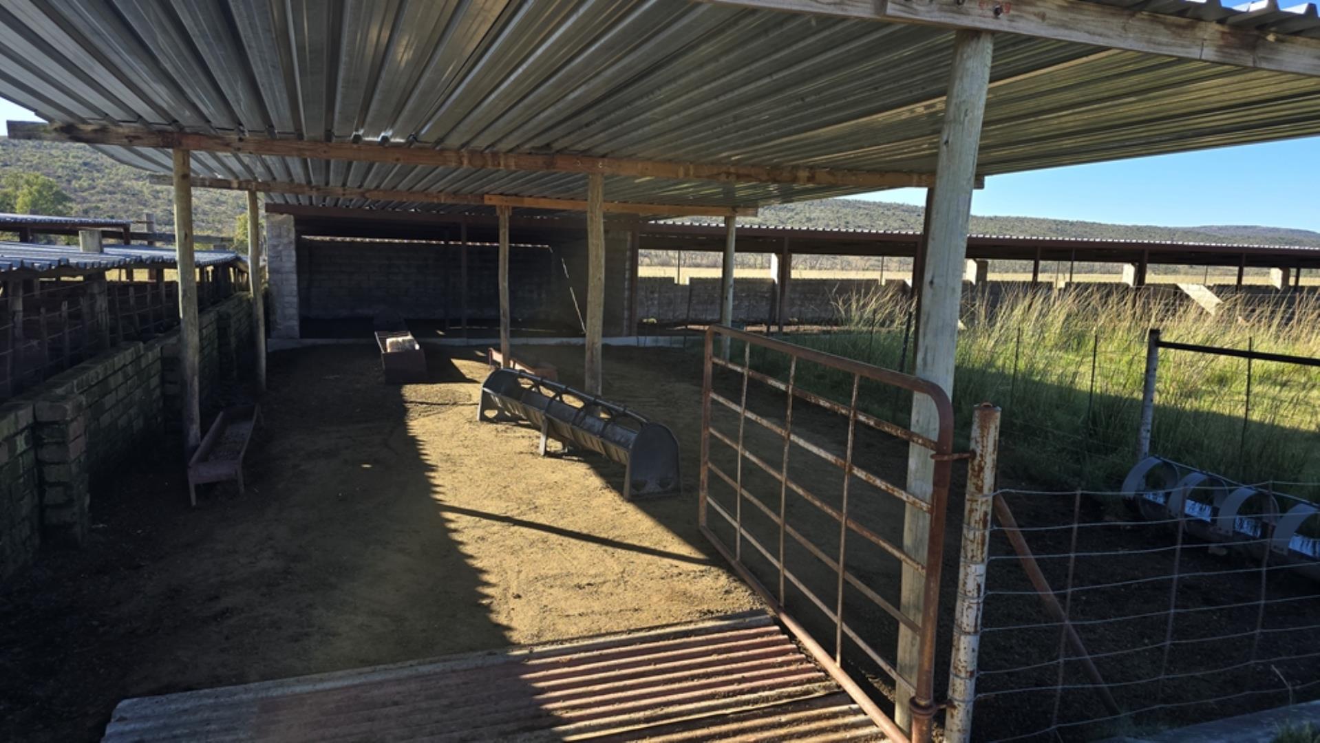 765519_442ha_Cattle_and_Irrigation_Farm_FOR_SALE_Modimolle_(46).jpeg
