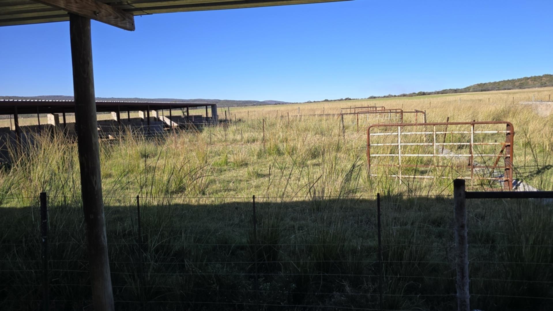 765519_442ha_Cattle_and_Irrigation_Farm_FOR_SALE_Modimolle_(47).jpeg