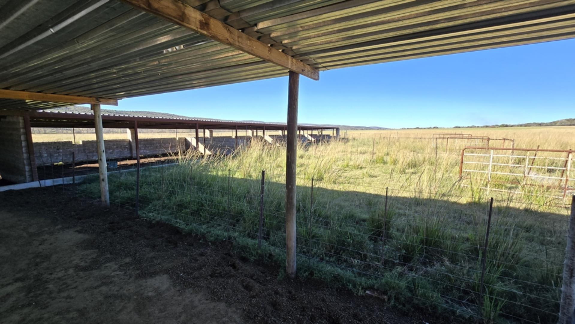 765519_442ha_Cattle_and_Irrigation_Farm_FOR_SALE_Modimolle_(48).jpeg