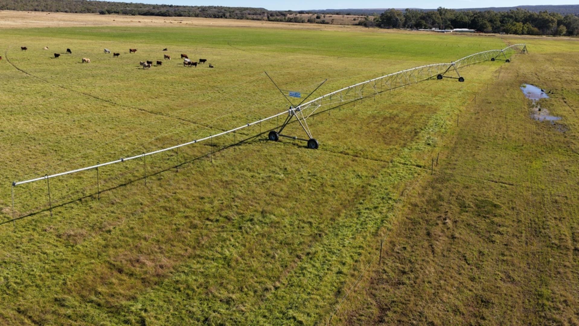 765519_442ha_Cattle_and_Irrigation_Farm_FOR_SALE_Modimolle_(5).jpeg