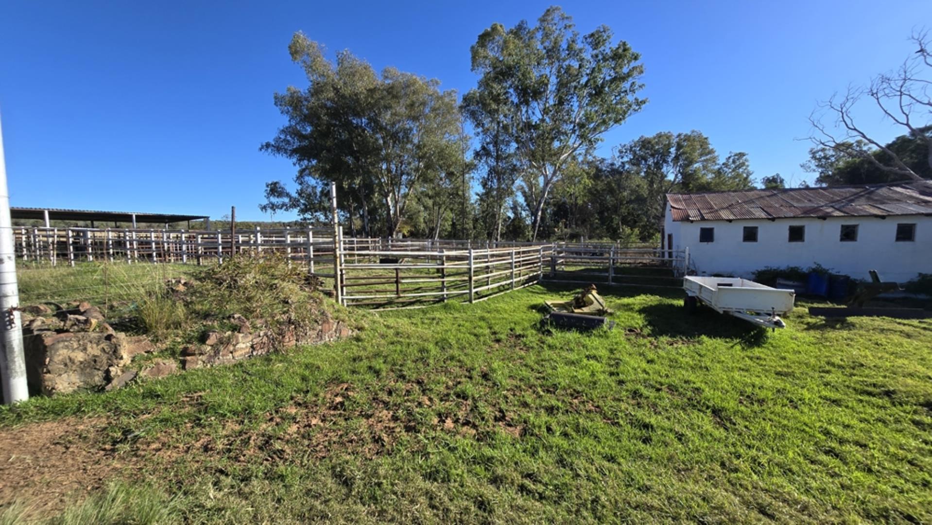 765519_442ha_Cattle_and_Irrigation_Farm_FOR_SALE_Modimolle_(50).jpeg