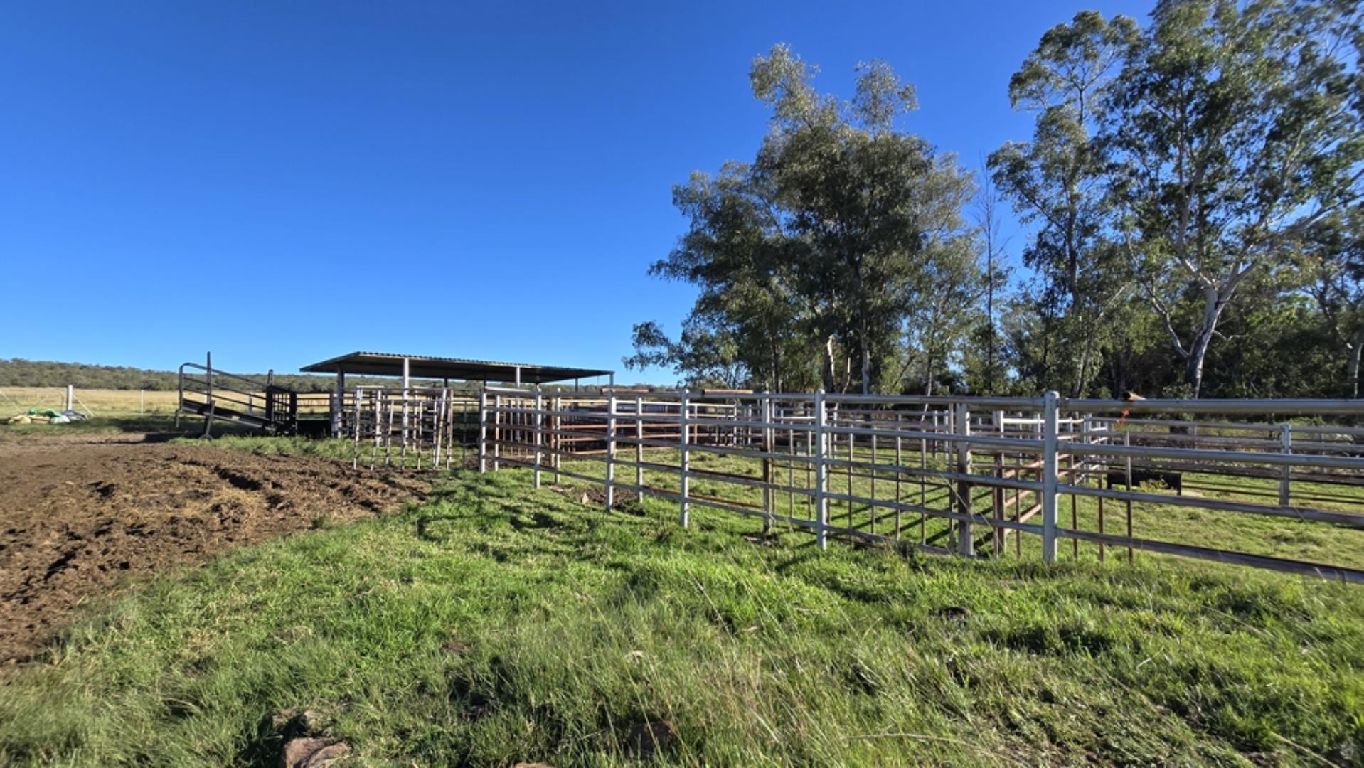 765519_442ha_Cattle_and_Irrigation_Farm_FOR_SALE_Modimolle_(51).jpeg