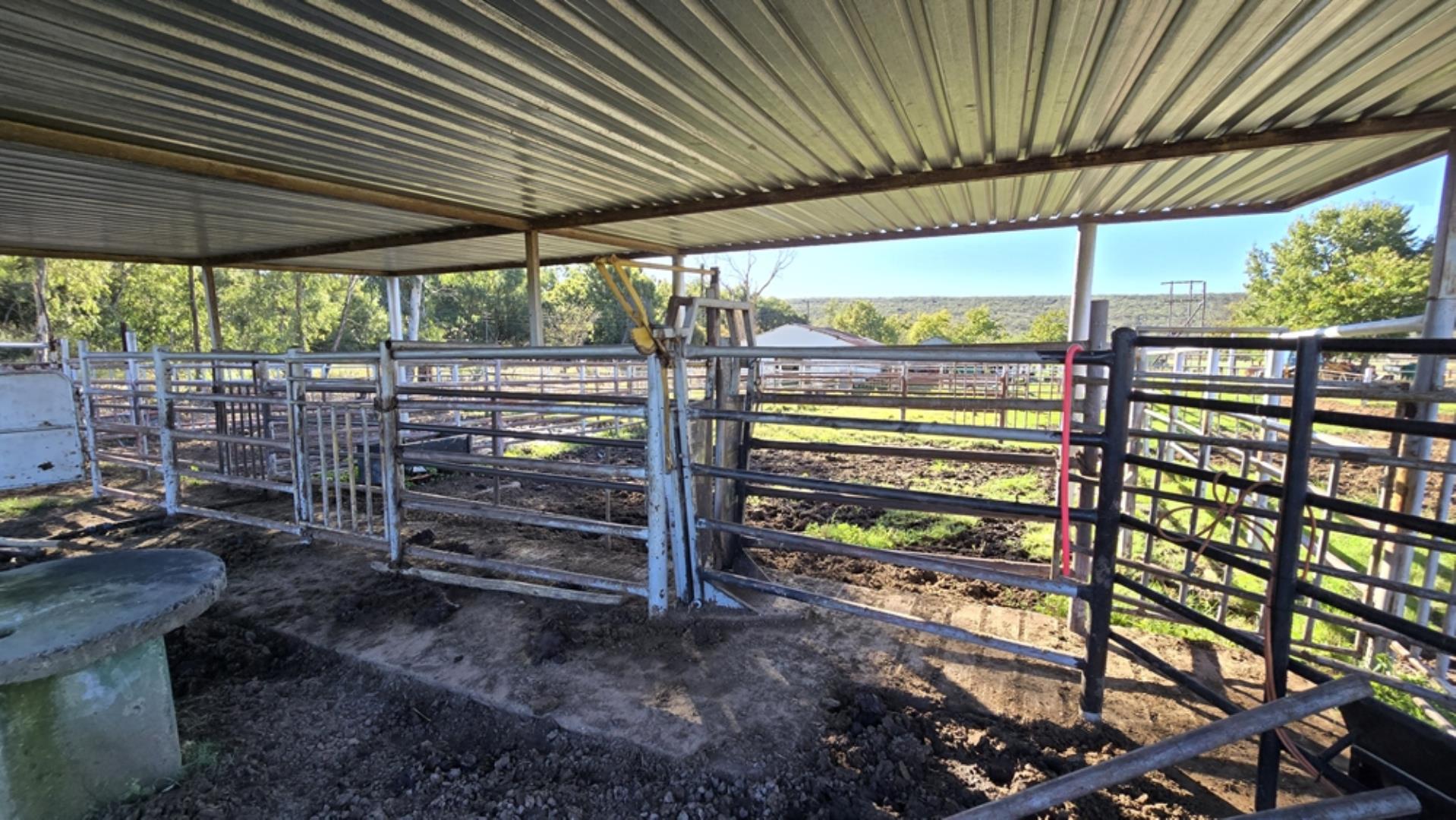 765519_442ha_Cattle_and_Irrigation_Farm_FOR_SALE_Modimolle_(52).jpeg