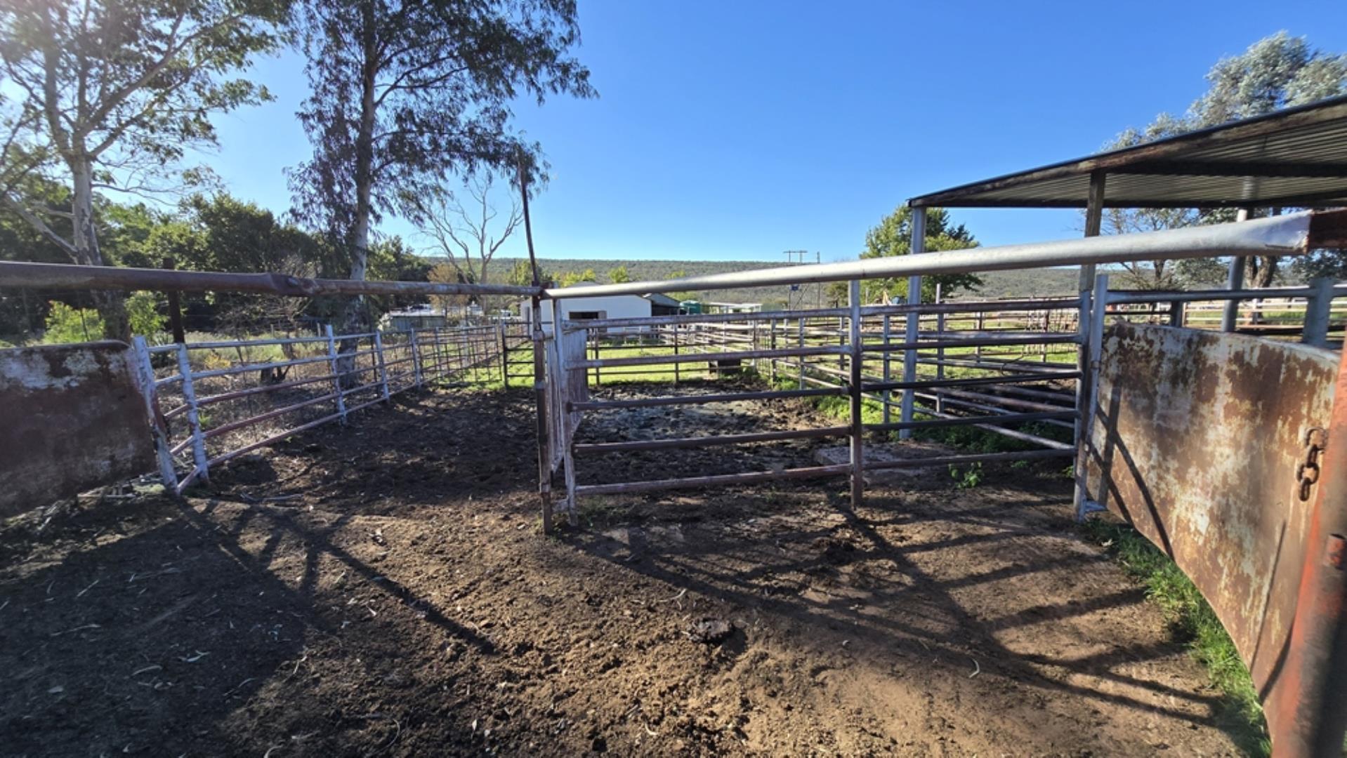 765519_442ha_Cattle_and_Irrigation_Farm_FOR_SALE_Modimolle_(53).jpeg